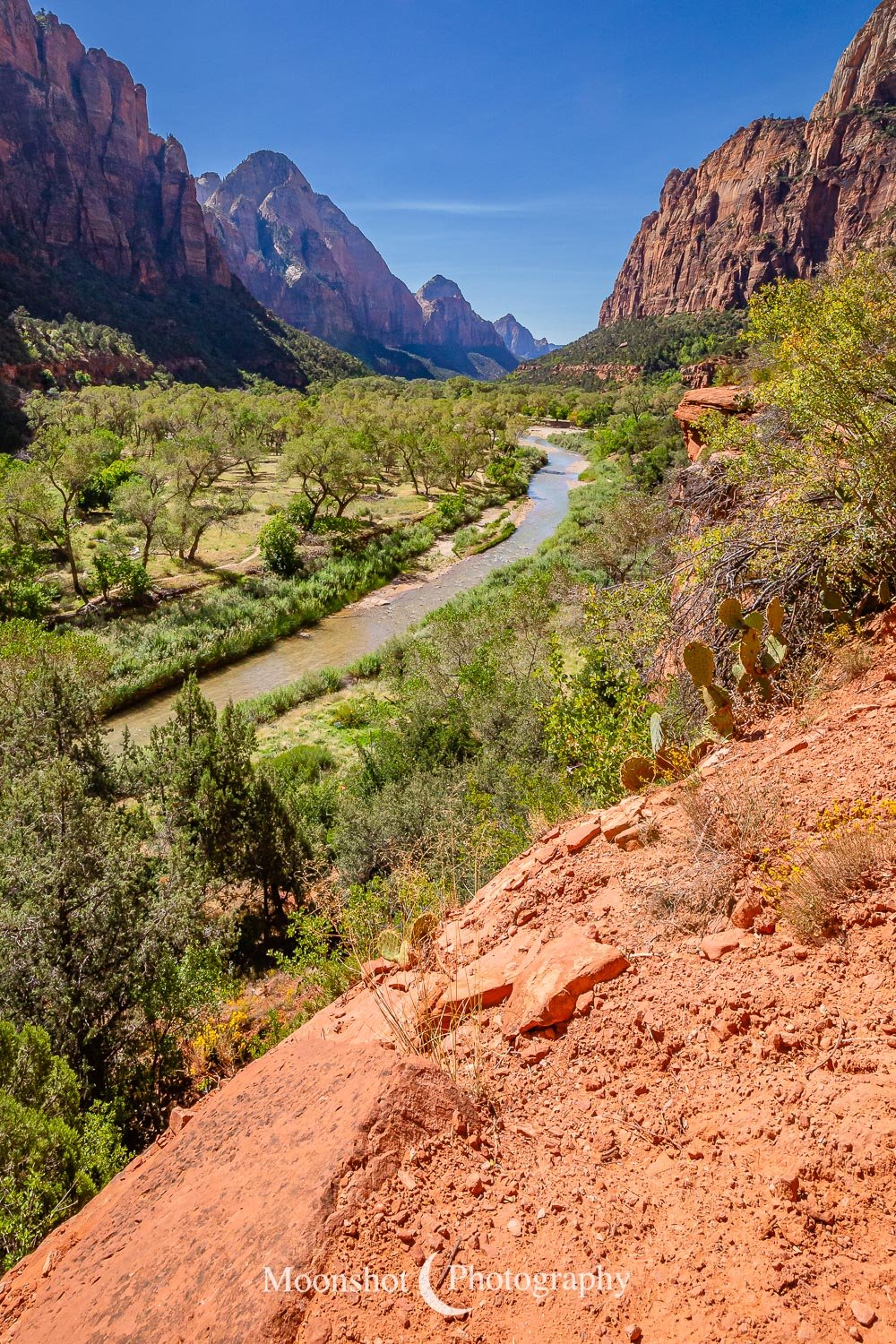 Virgin River thru Zion
