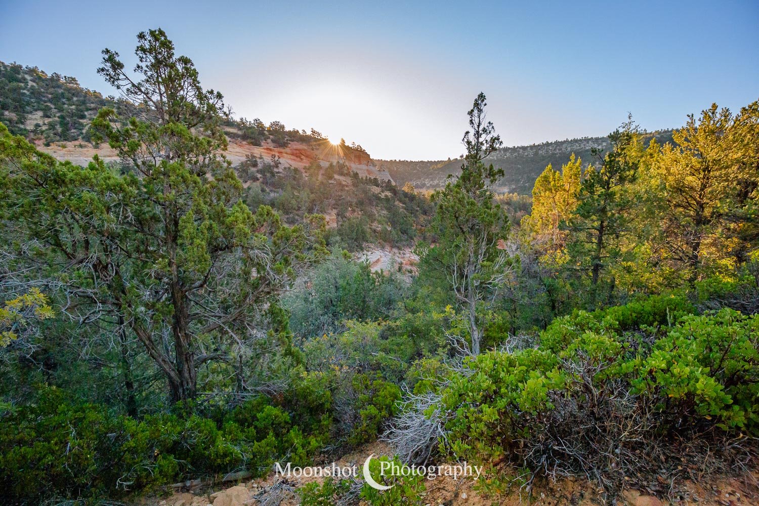 Zion Sunrise