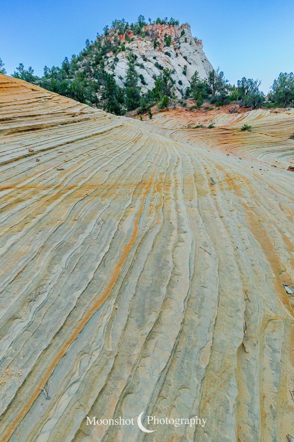 Patterns in Stone