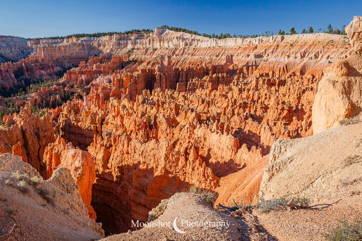 Bryce Canyon