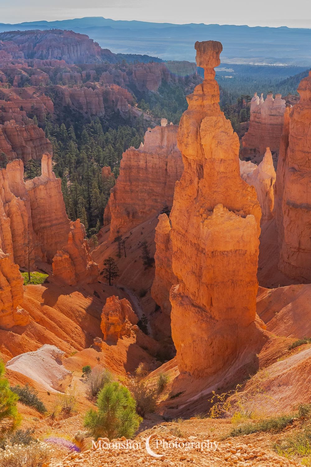 Bryce Canyon