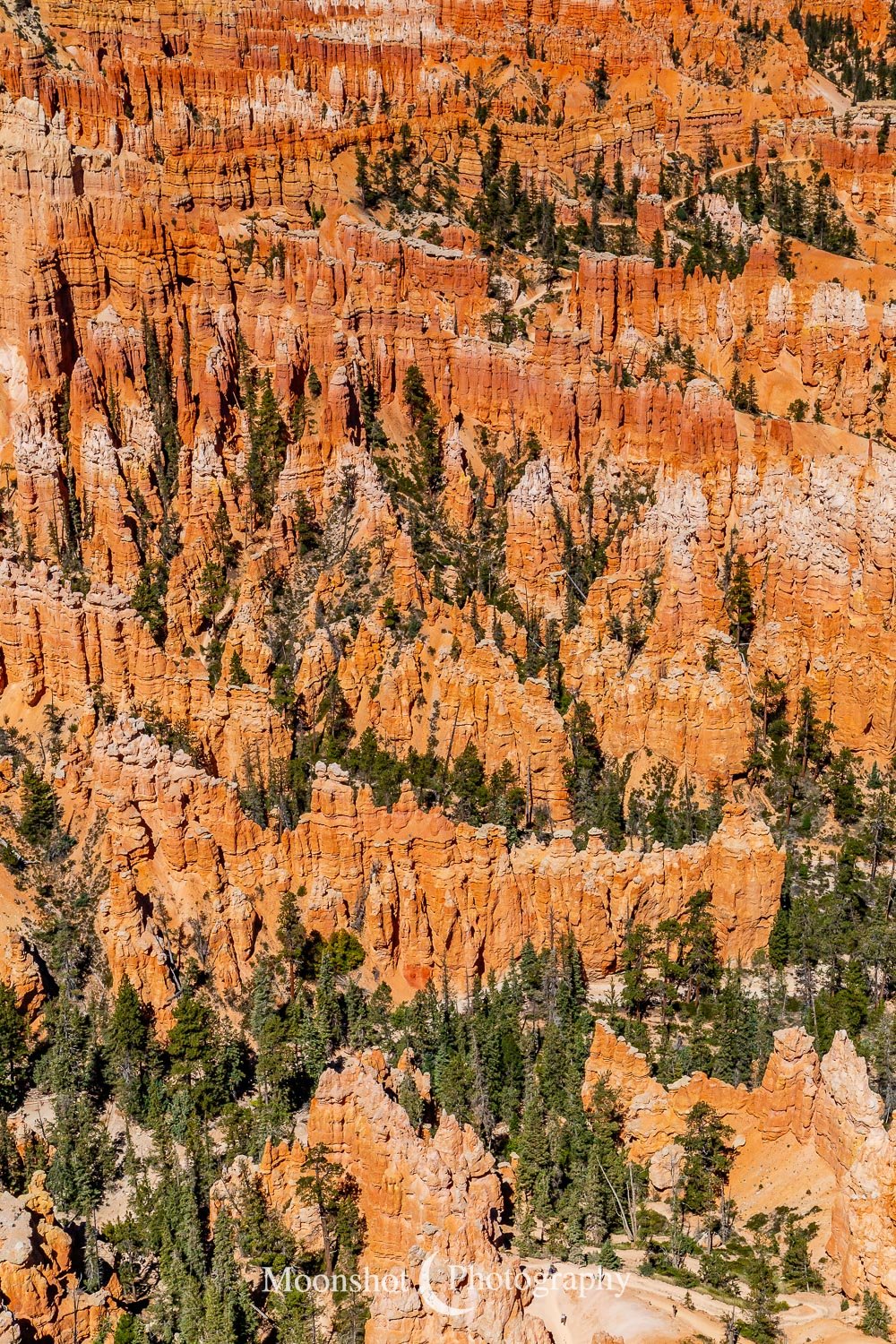 Hoodoos