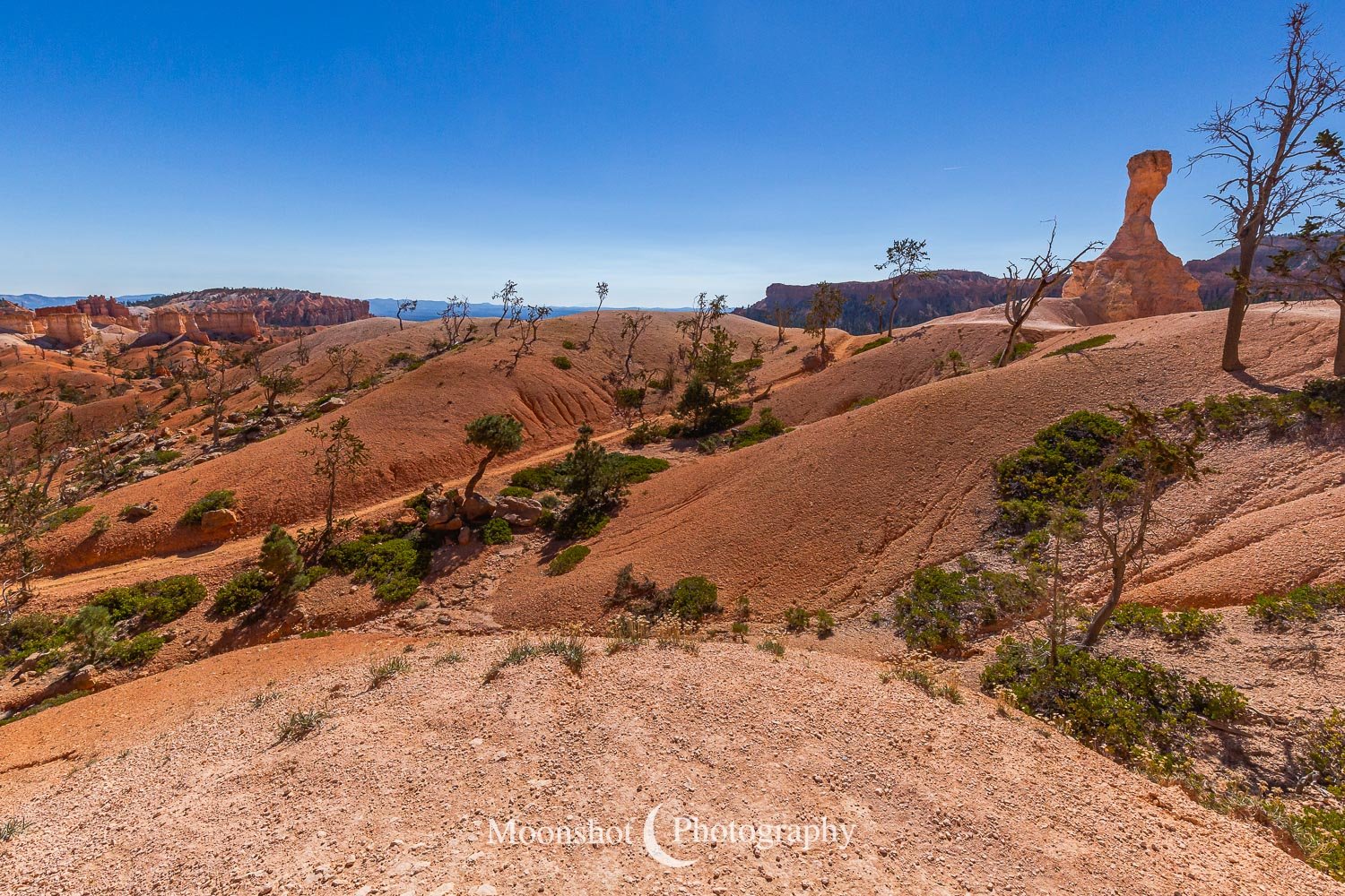 Sandstone Landscape