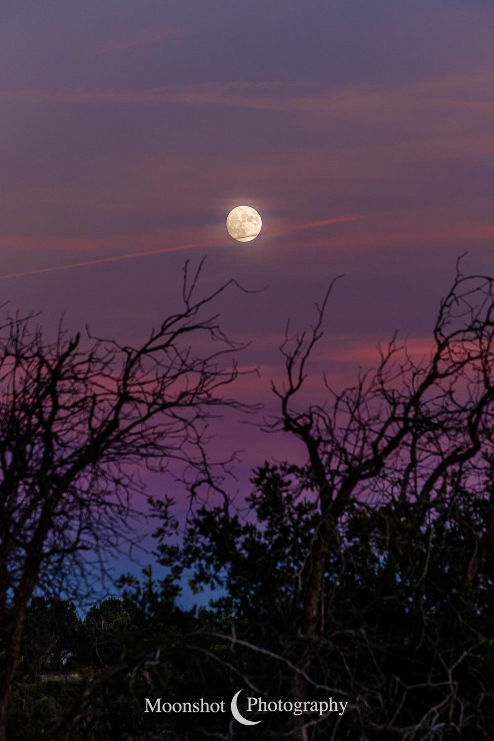 Moon in Dusky Skies