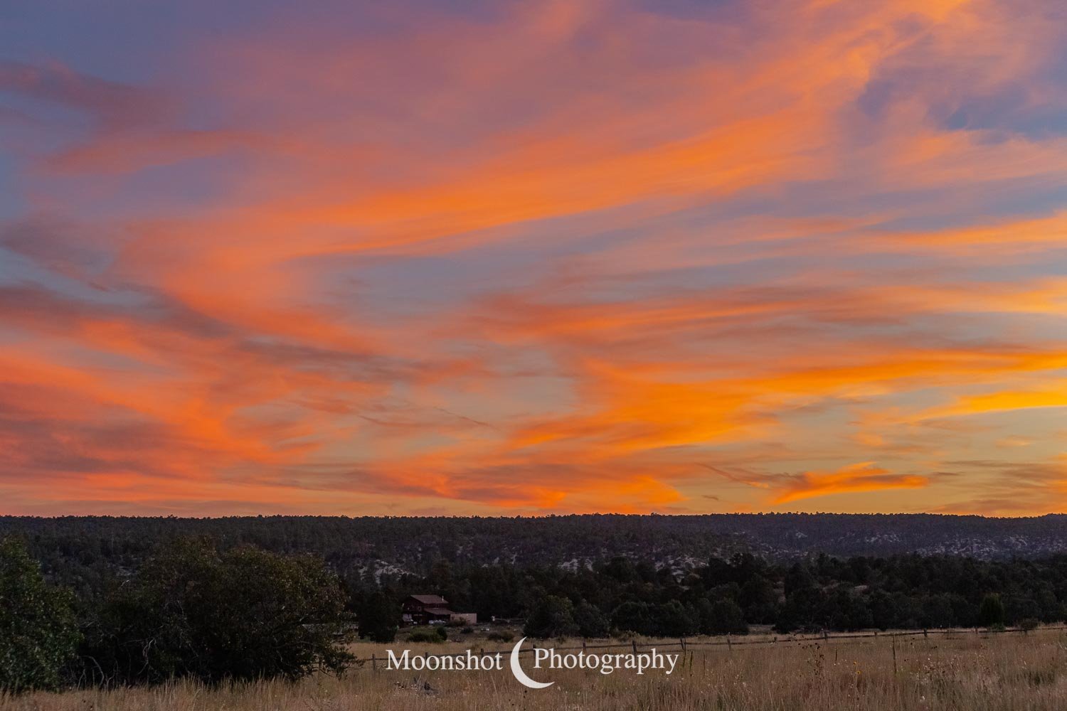 Orange Sunset