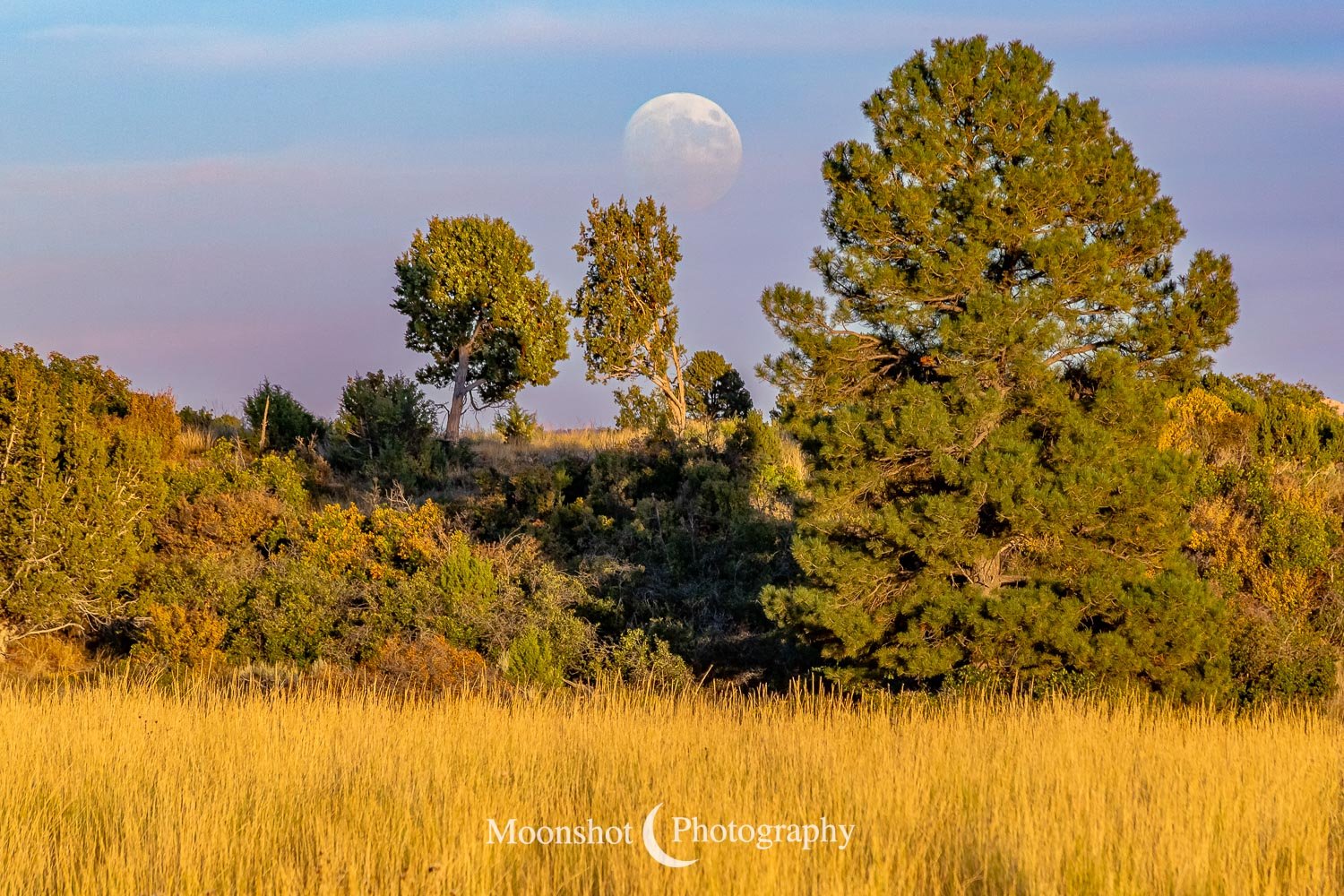 Moonrise