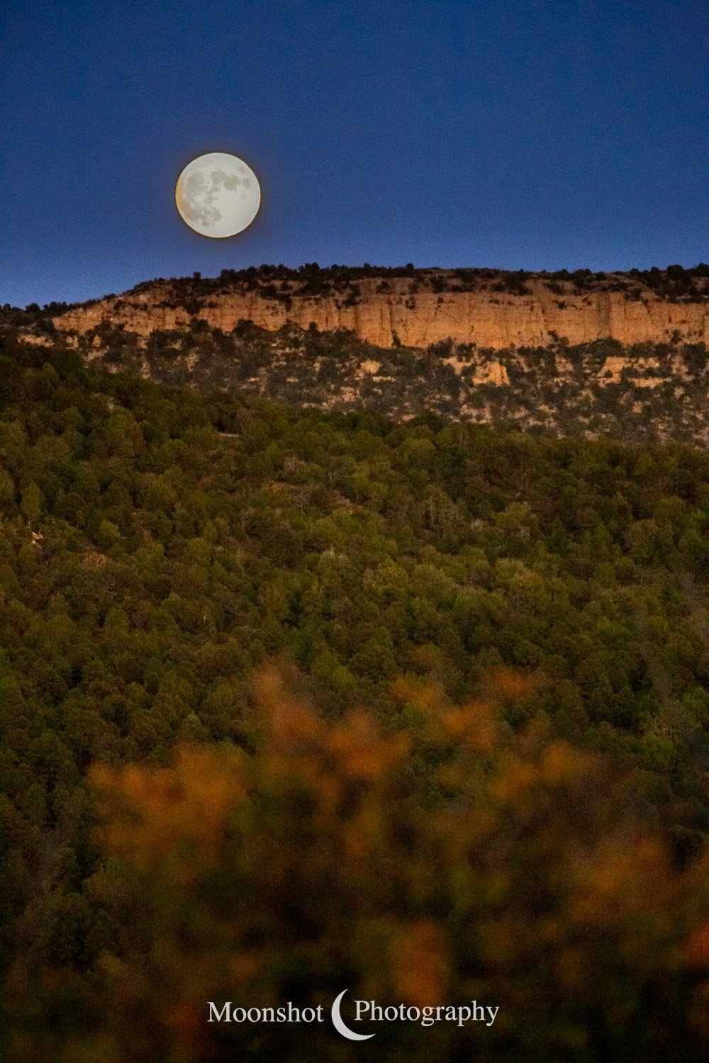 Harvest Moon
