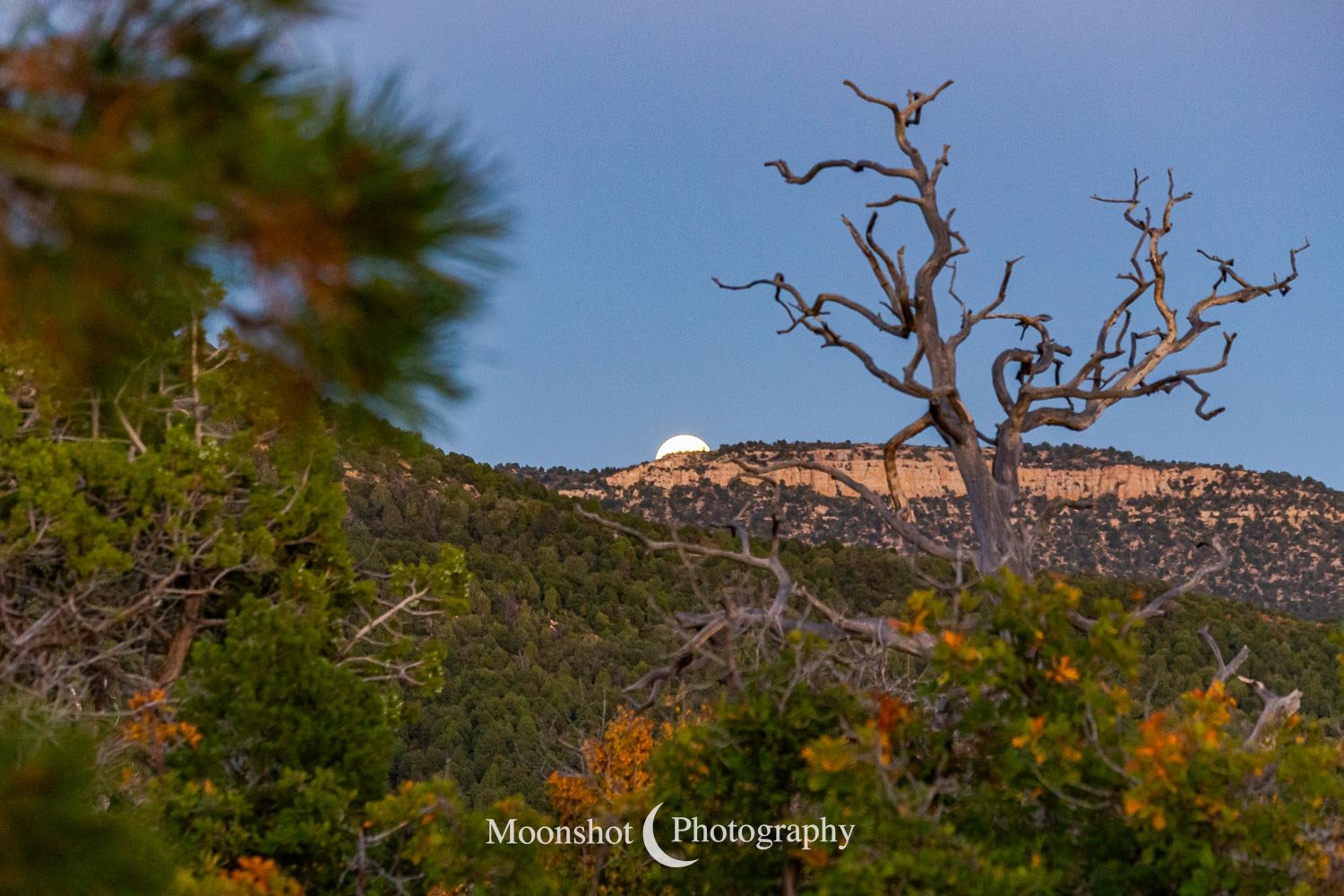 Harvest Moonrise