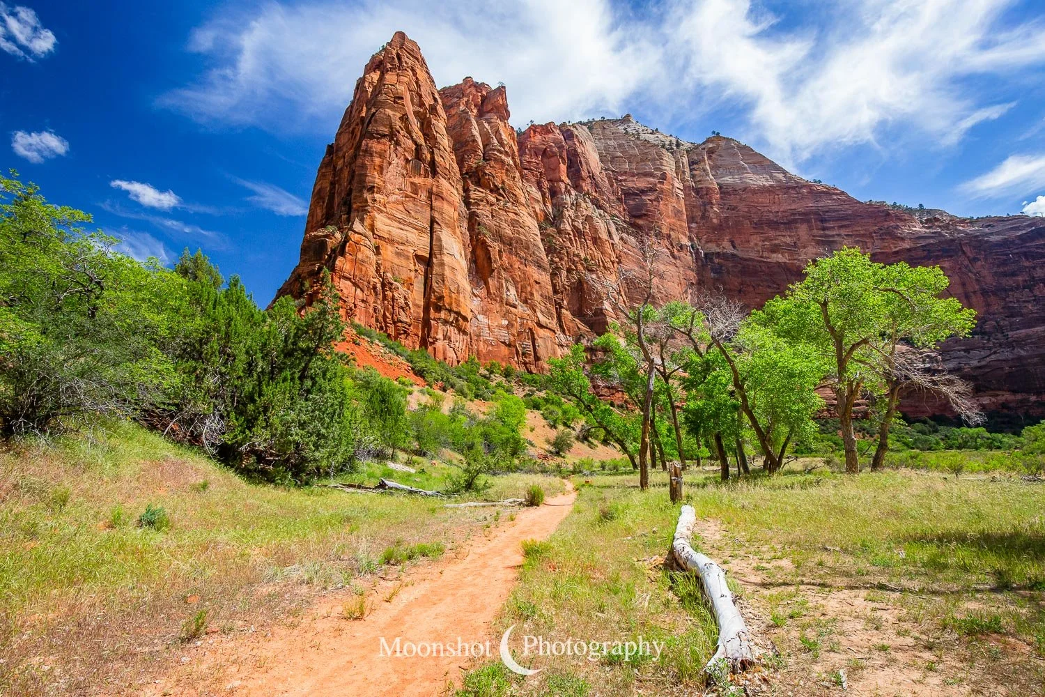 Zion and Bryce Canyon National Parks - Take Two