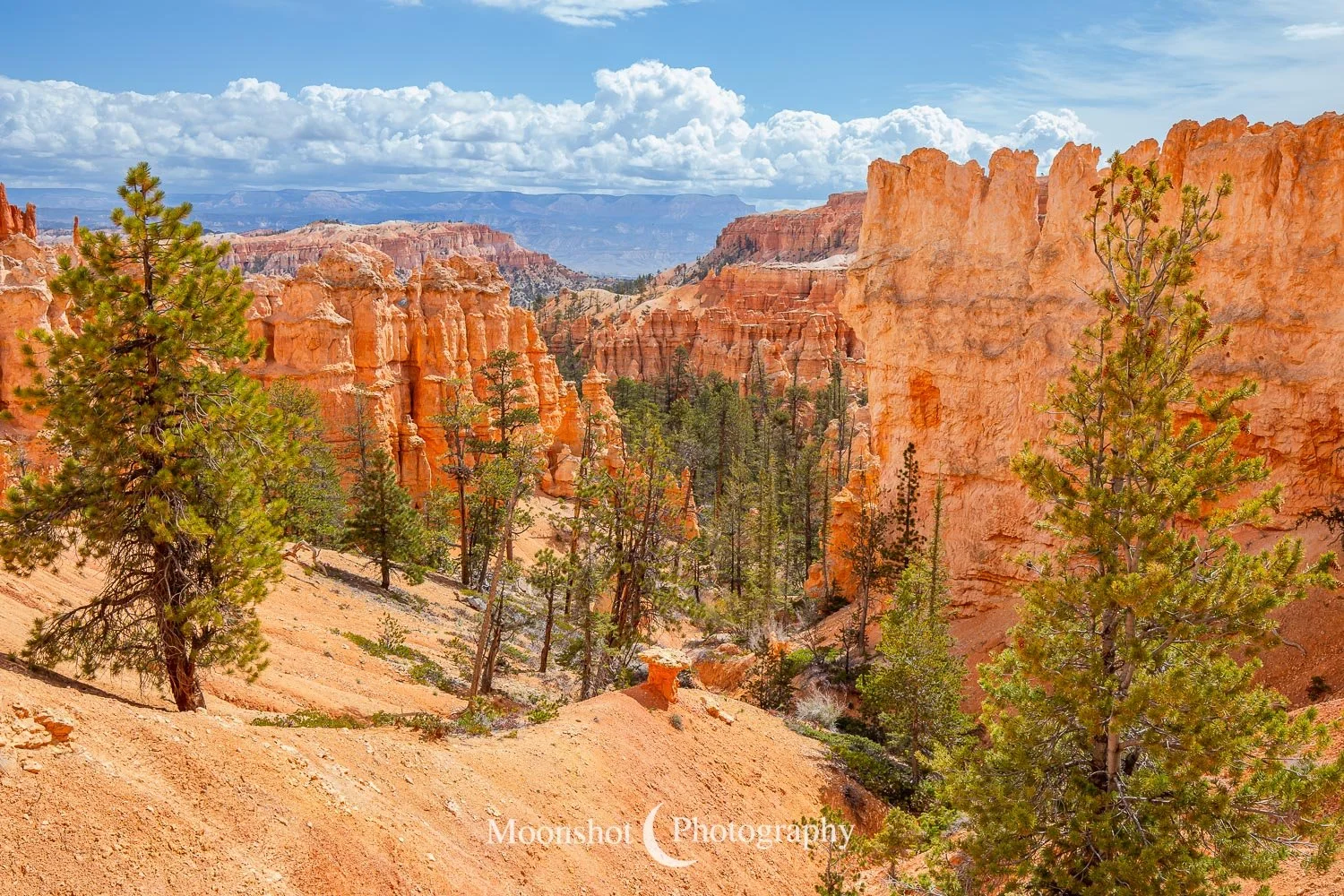  Peekaboo Trail, Bryce Canyon National Park 