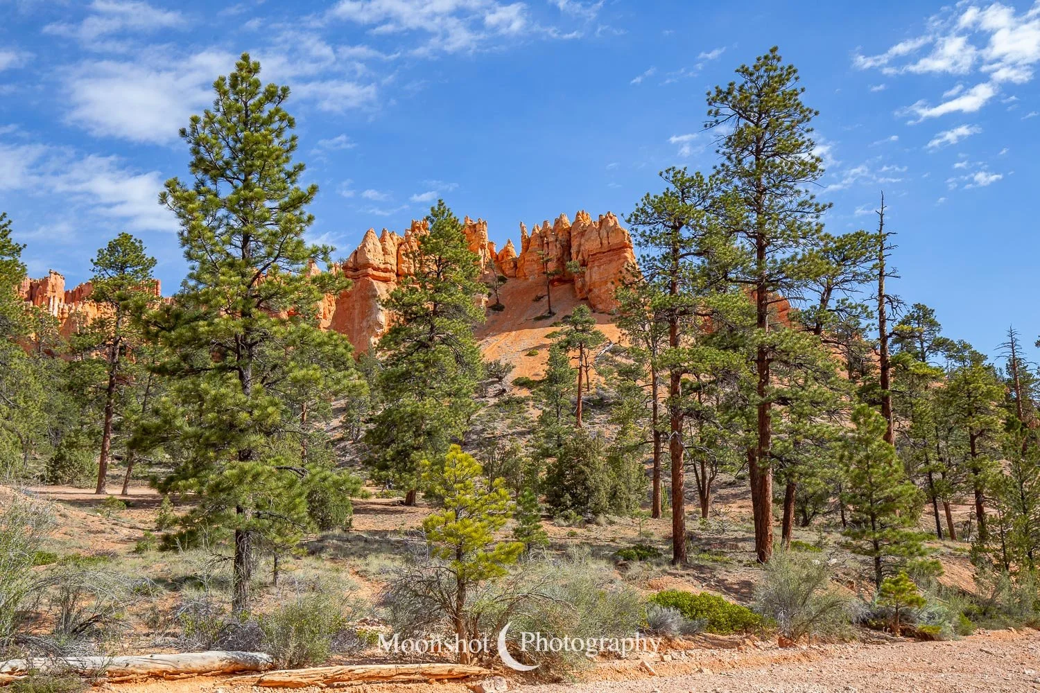  Peekaboo Trail, Bryce Canyon National Park 