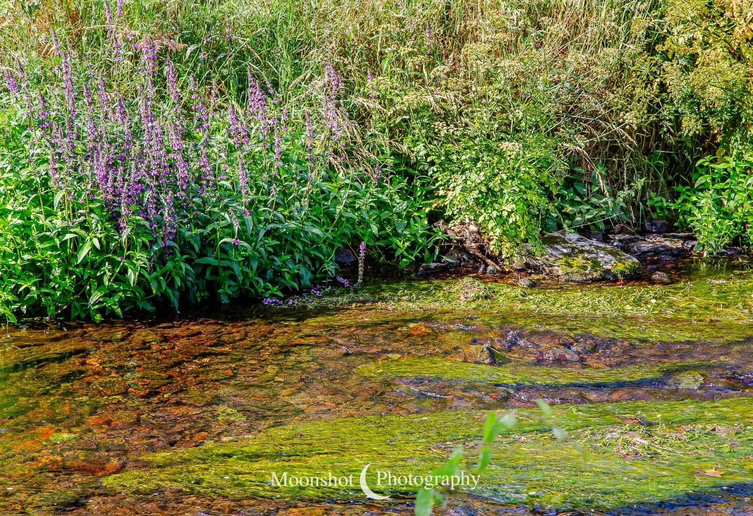IRL006-River Martin.jpg