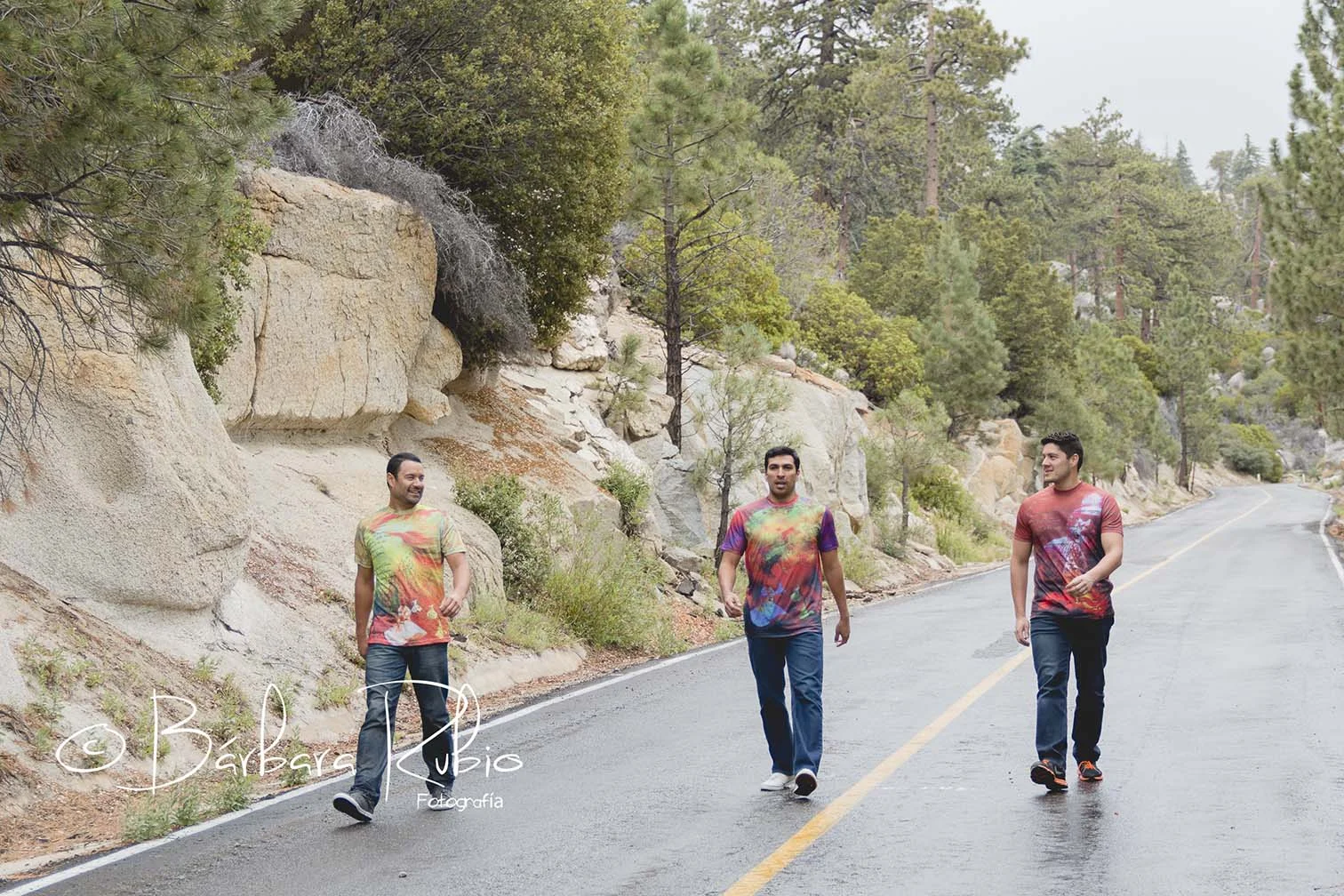 why can't we just get along?