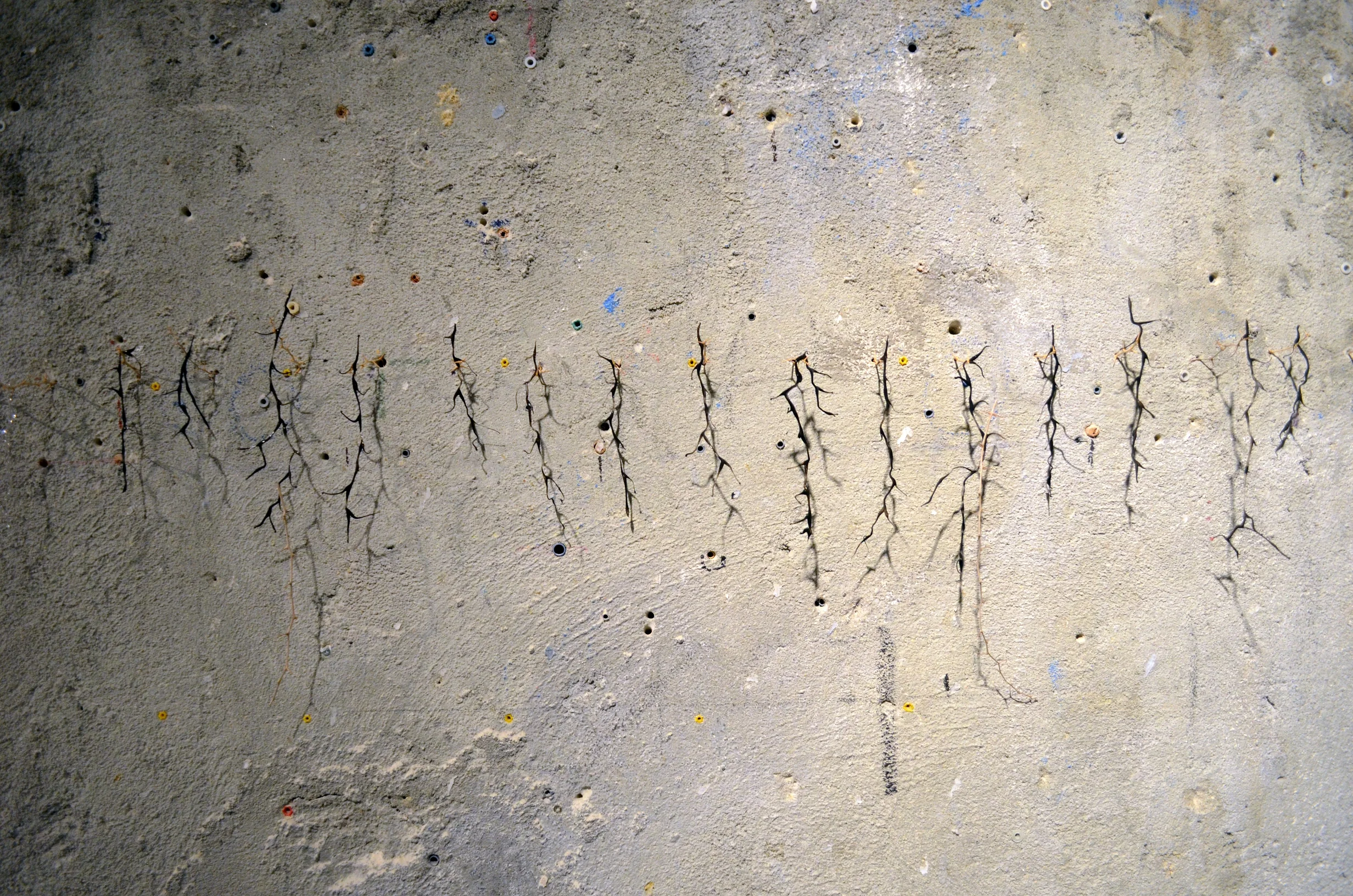 DSC_0171 - Copy - redim.JPG