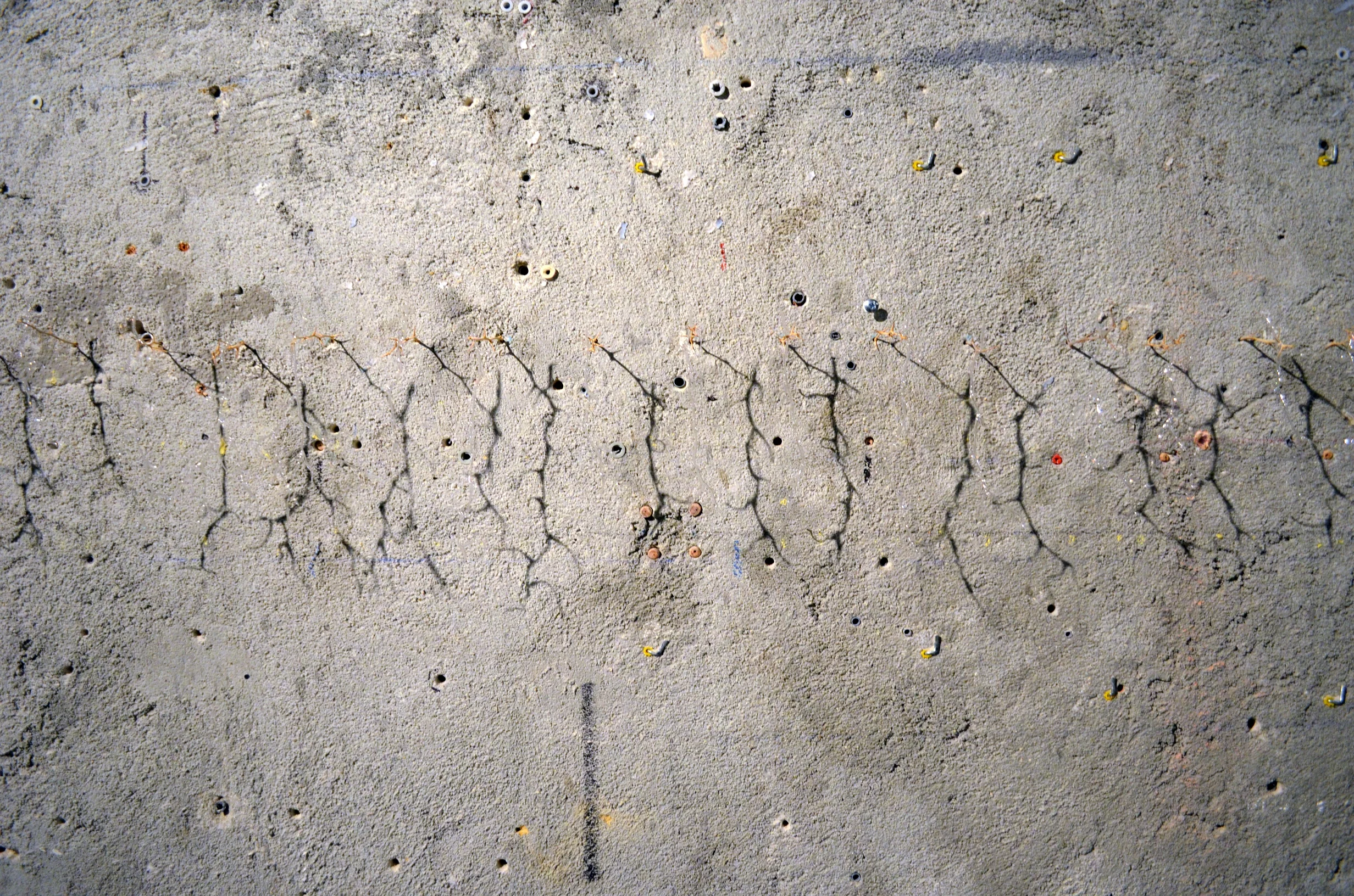 DSC_0172 - Copy - redim.JPG