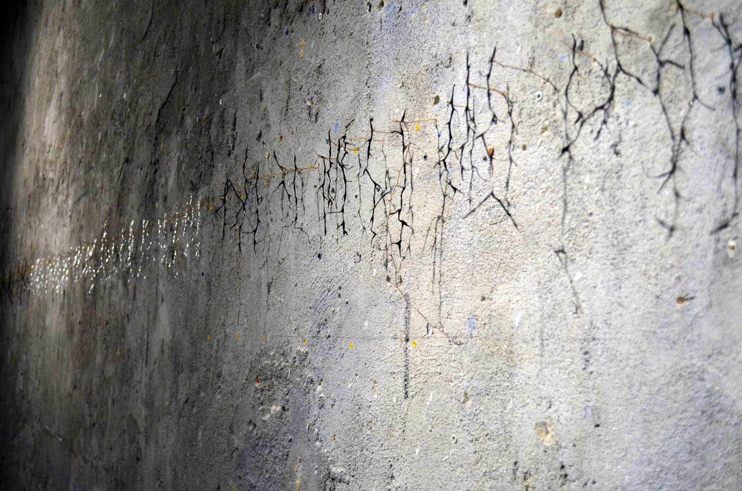 DSC_0168 - Copy - redim.JPG