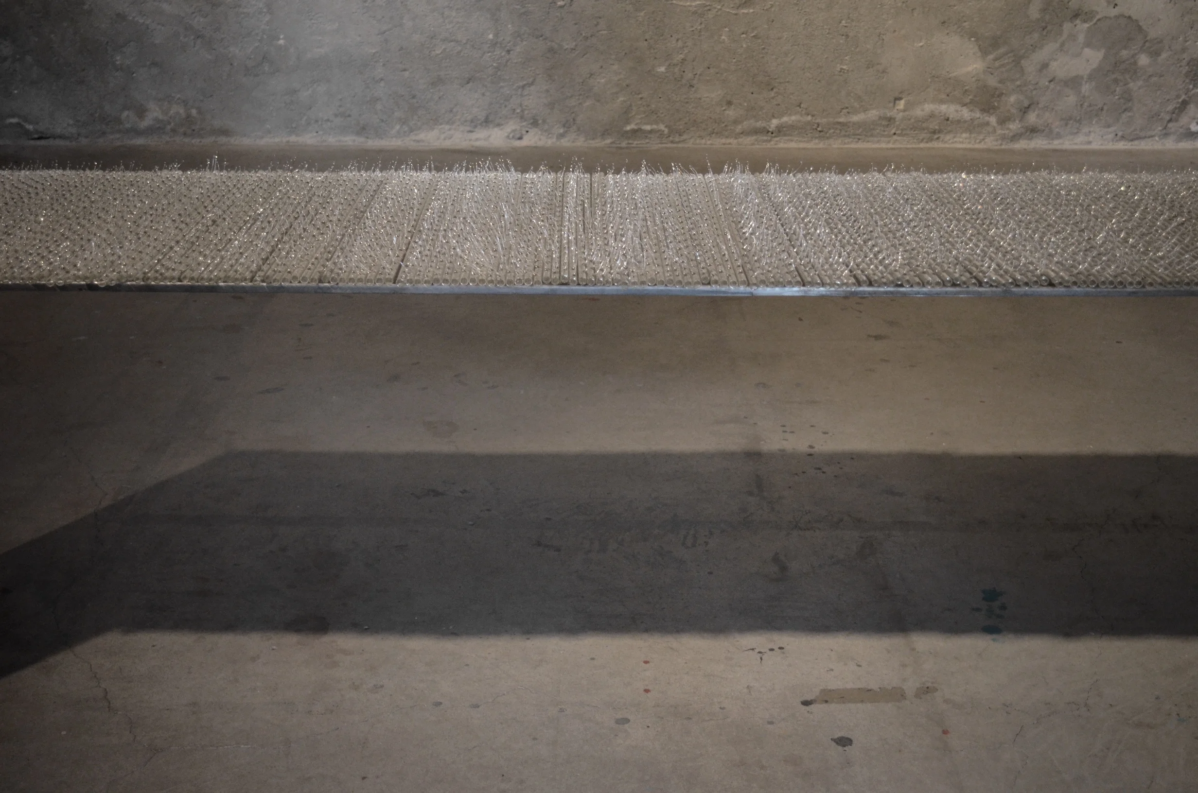 DSC_0318 - redim.JPG