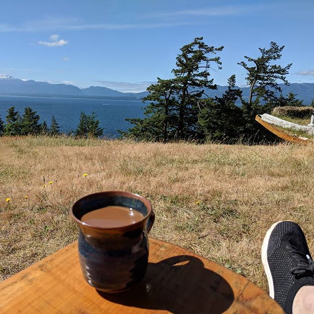 #coffeelyfe #beautifulbc #hornby #islandlife  #sorrynotsorry