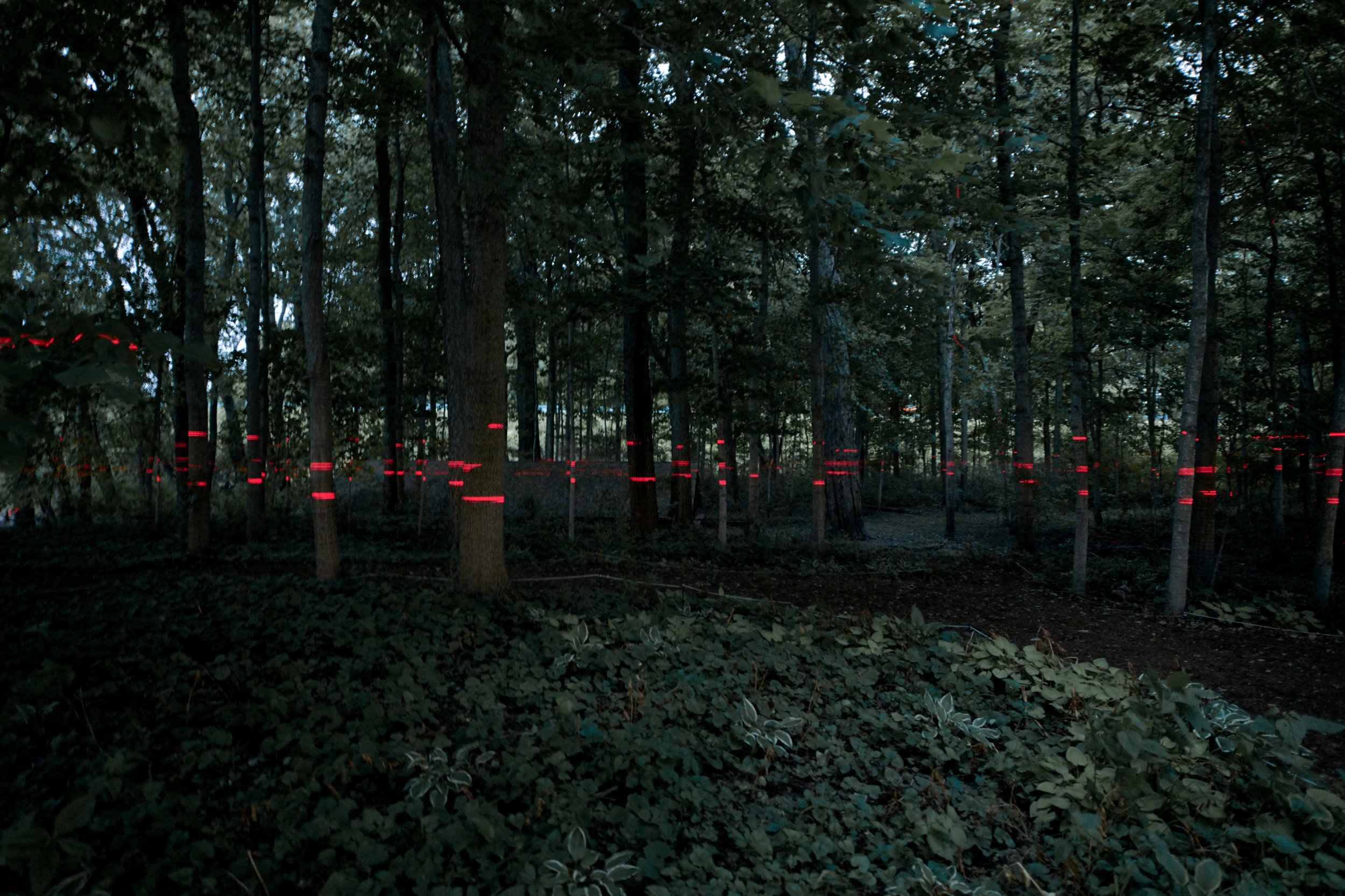  Architecture photography of  Luftwerk  and  Iker Gil’ s art installation at Mies van der Rohe’s  Farnsworth House  