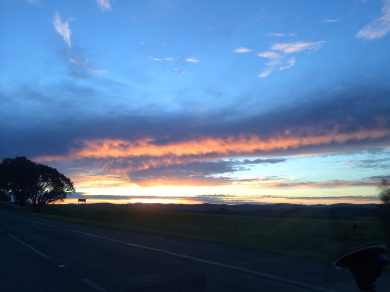 Beautiful sunset heading back to Melbourne from Yarra Ranges National Park.