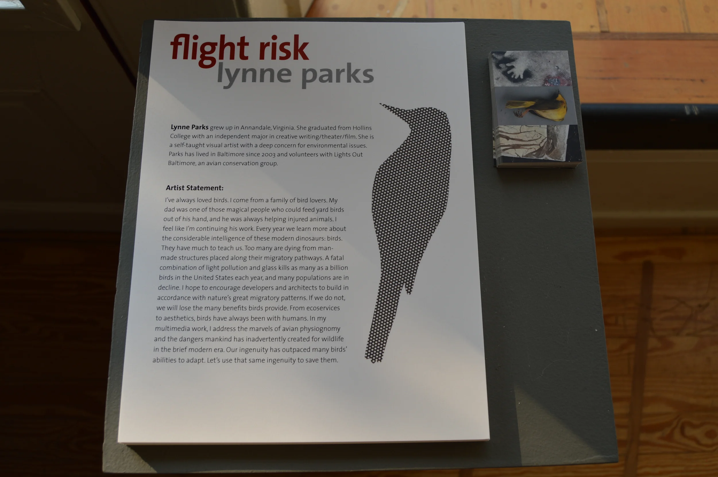 Artist Bio and Statement