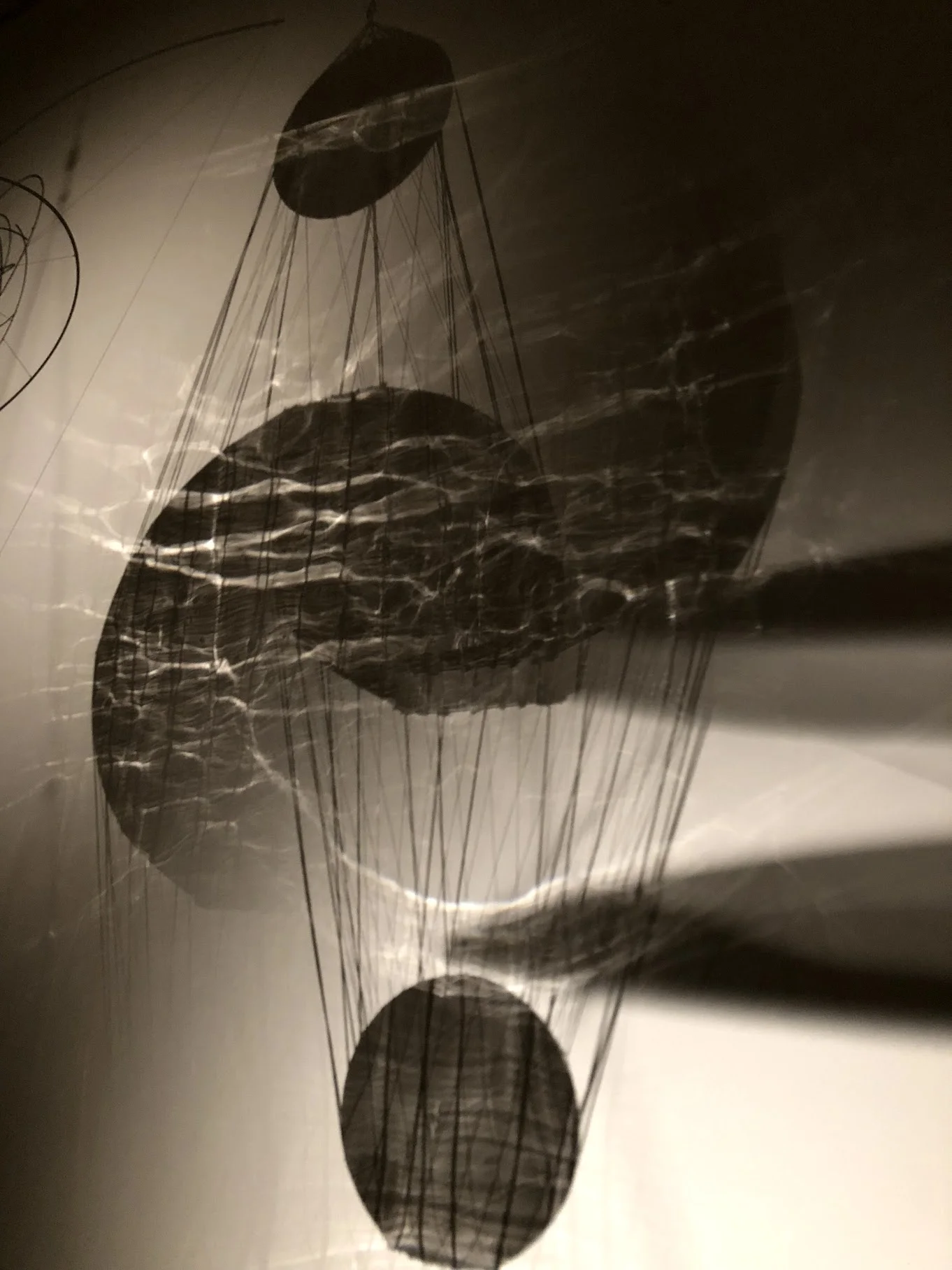 Tomás Saraceno detail of Our Interplanetary Bodies