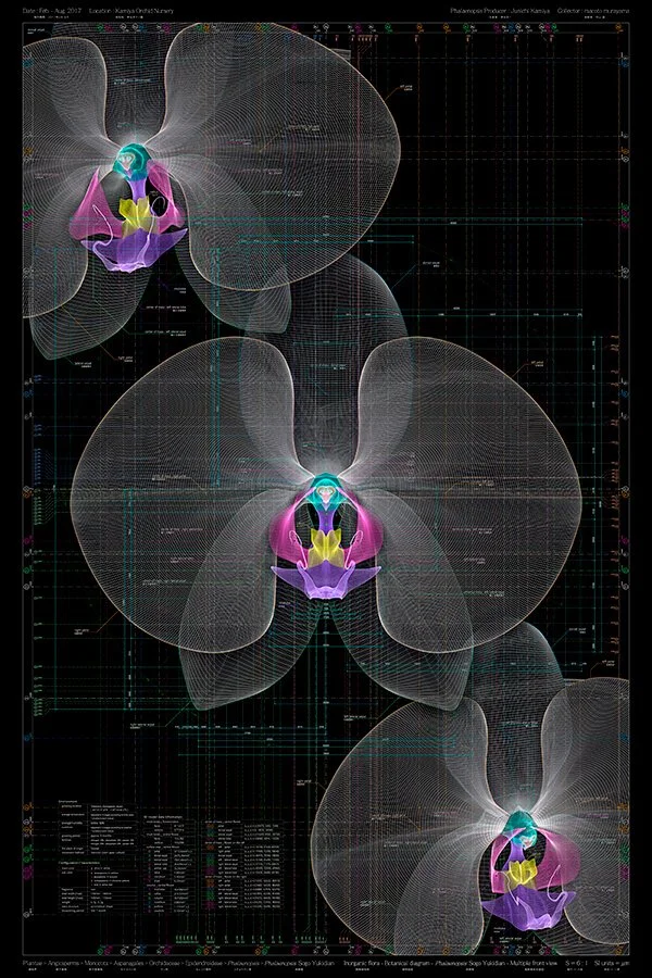 Artist Interview: Macoto Murayama