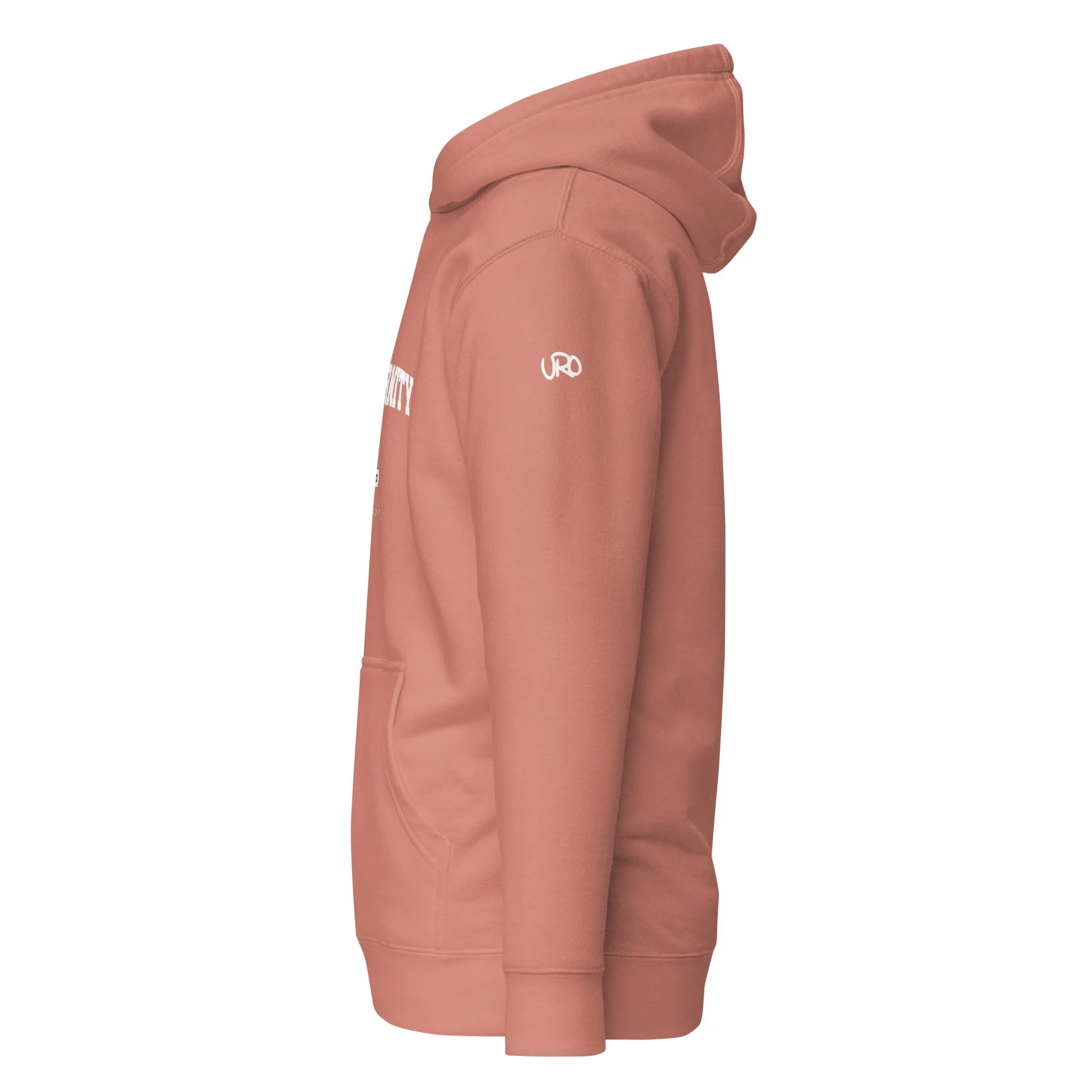 unisex-premium-hoodie-dusty-rose-left-6578d3d51cf10.jpg