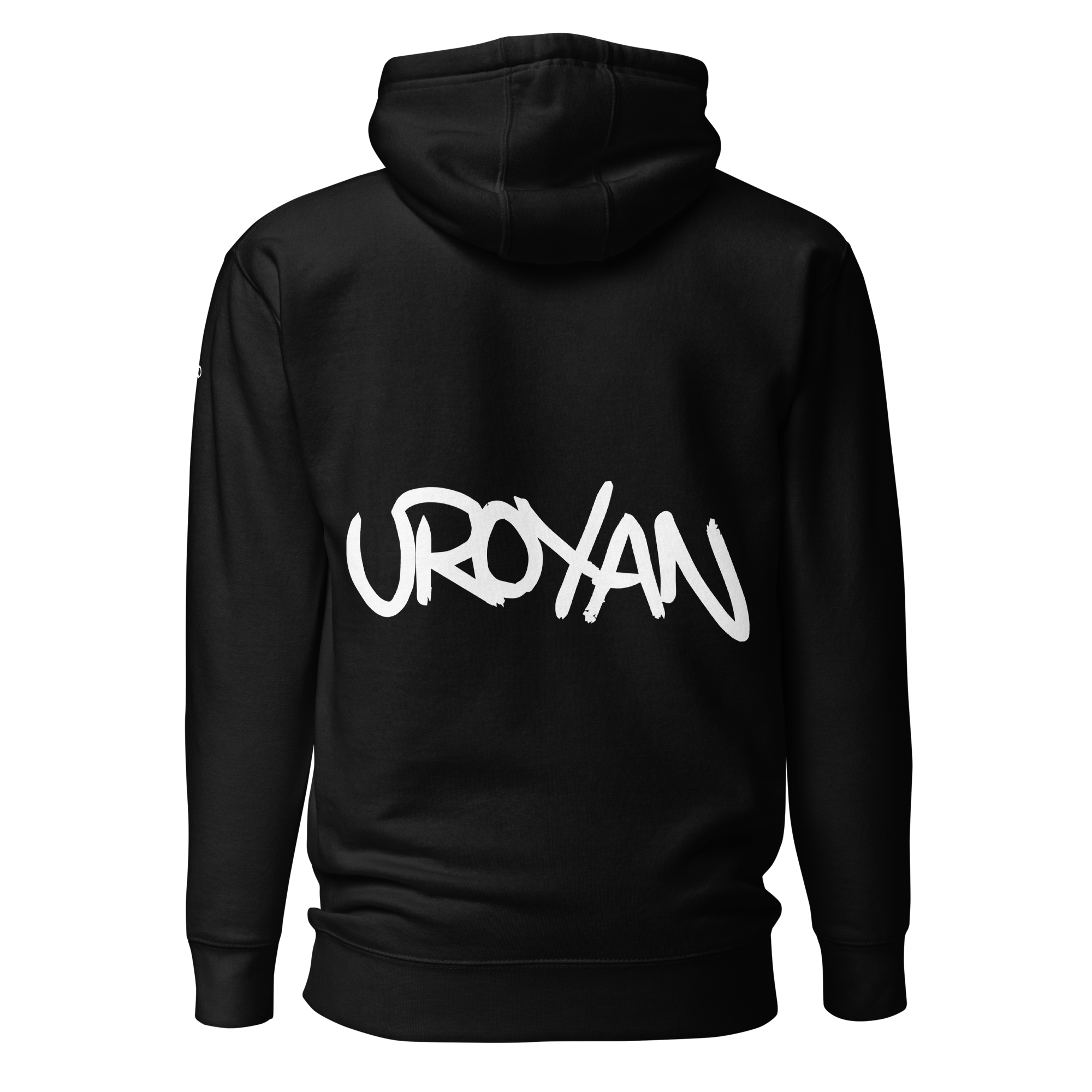 unisex-premium-hoodie-black-back-657901b34d8c3.png