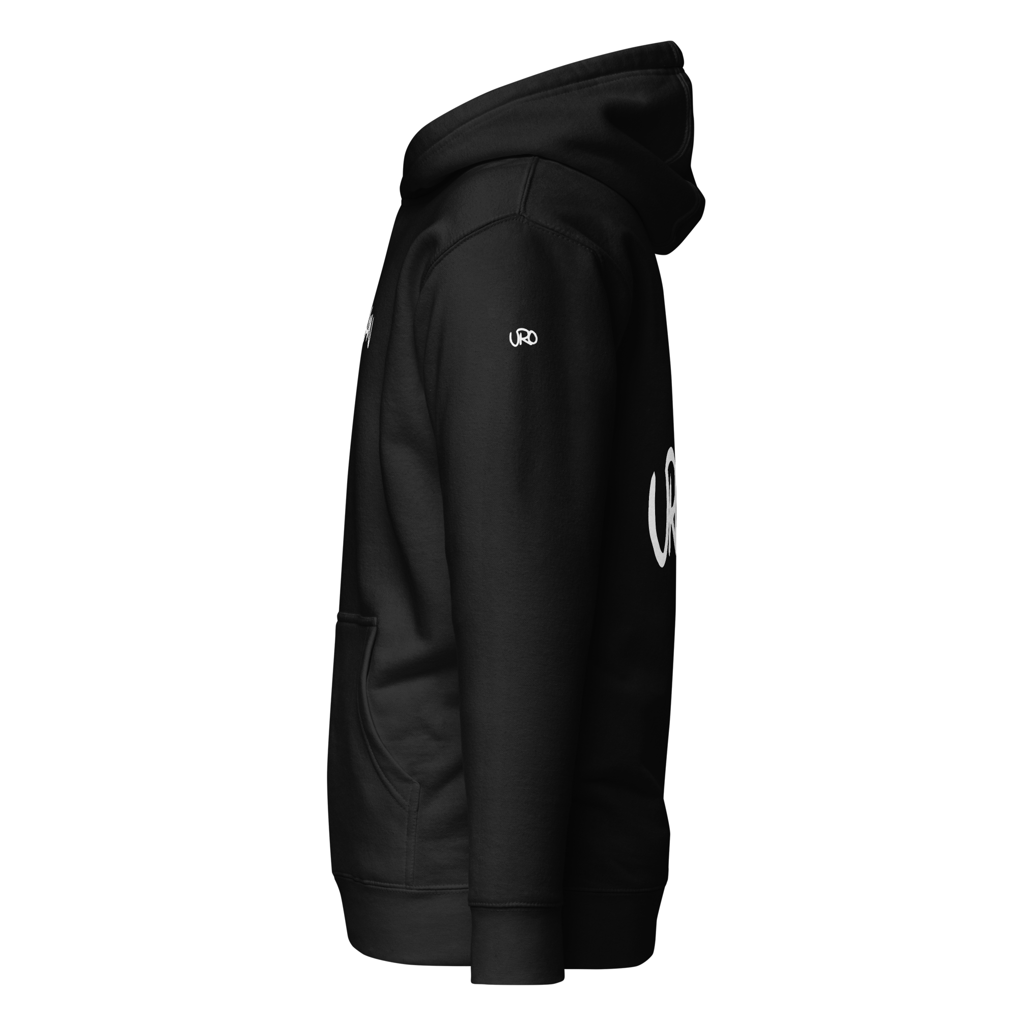 unisex-premium-hoodie-black-left-657901b34db6b.png