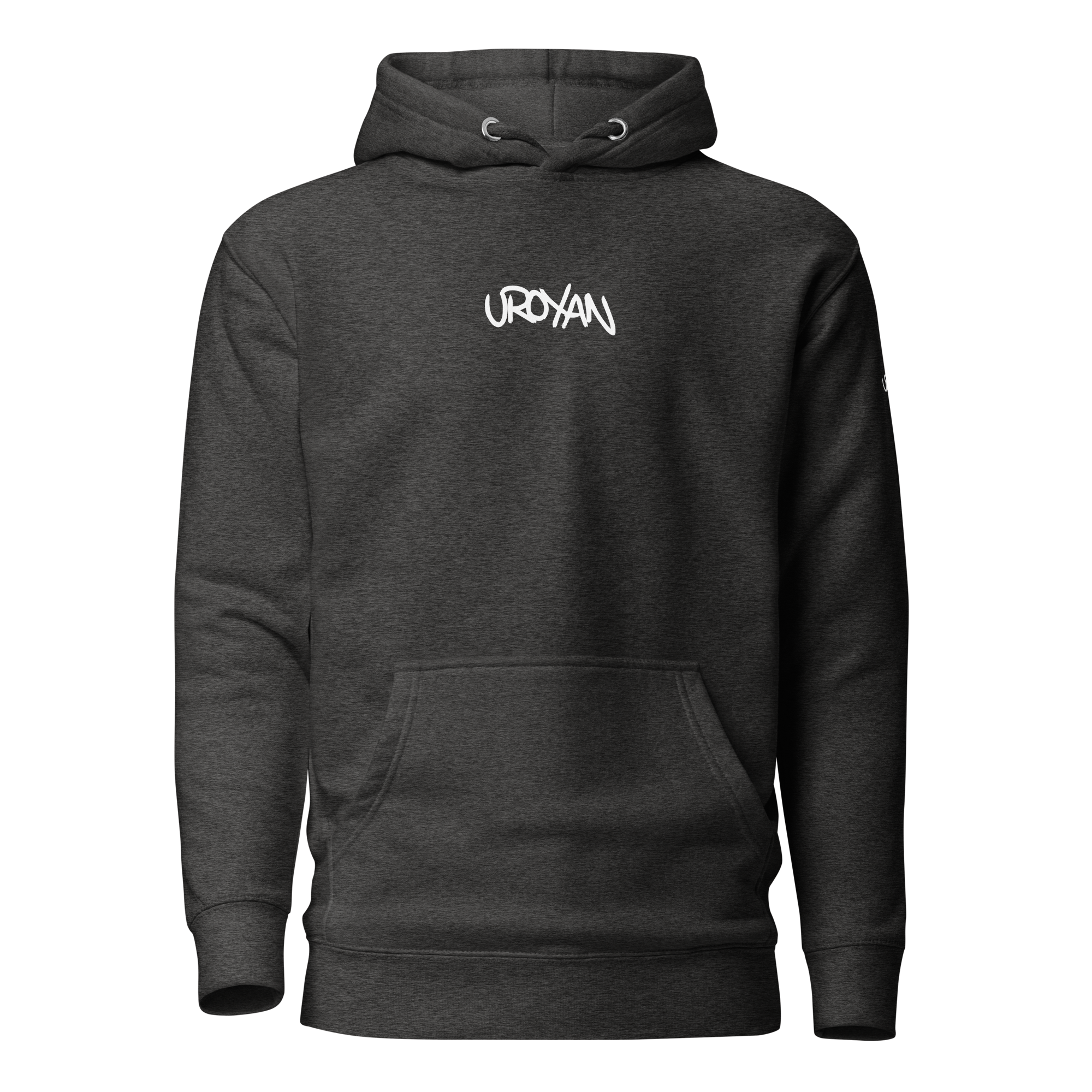 unisex-premium-hoodie-charcoal-heather-front-657901b3500c4.png