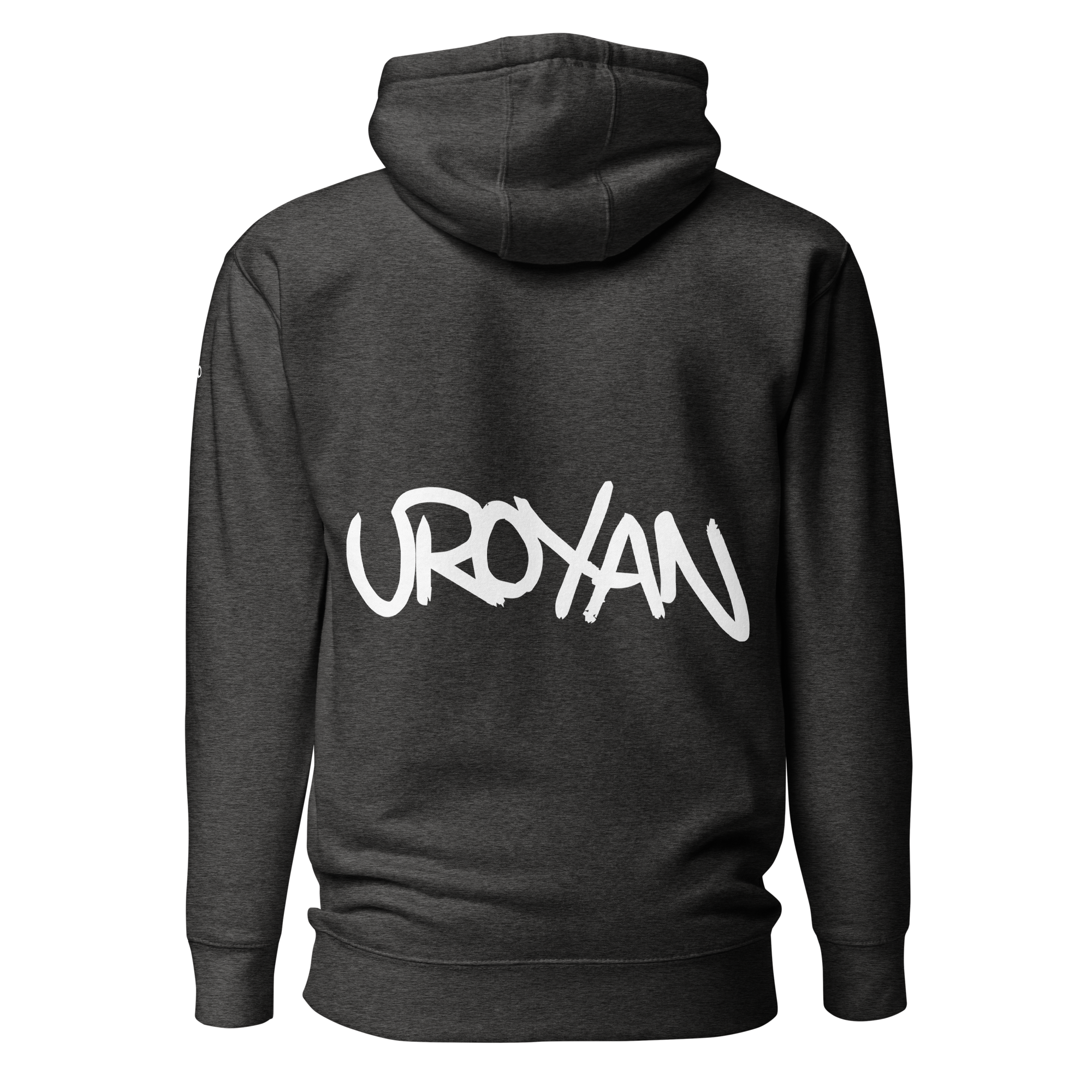 unisex-premium-hoodie-charcoal-heather-back-657901b350e12.png