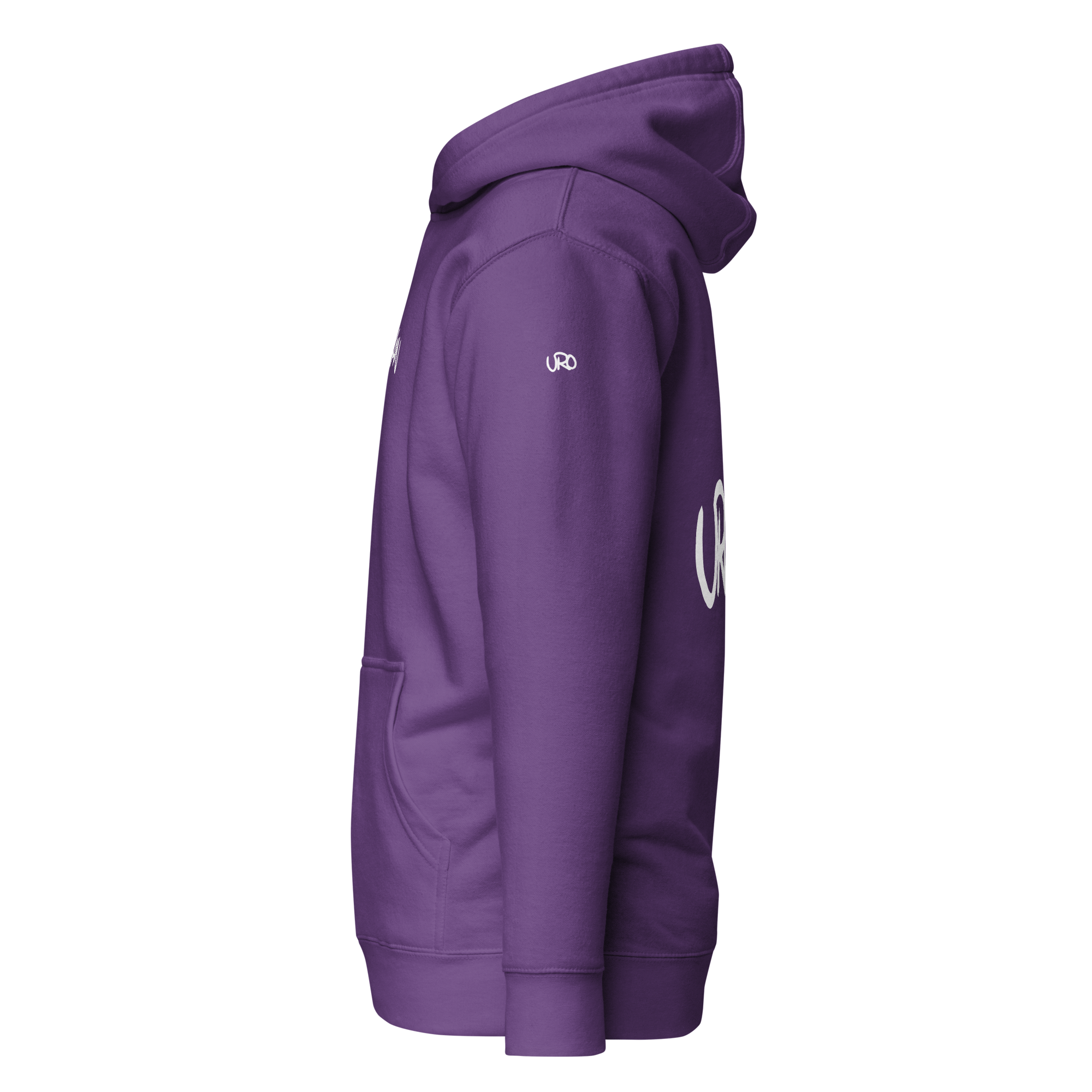 unisex-premium-hoodie-purple-left-657901b359534.png
