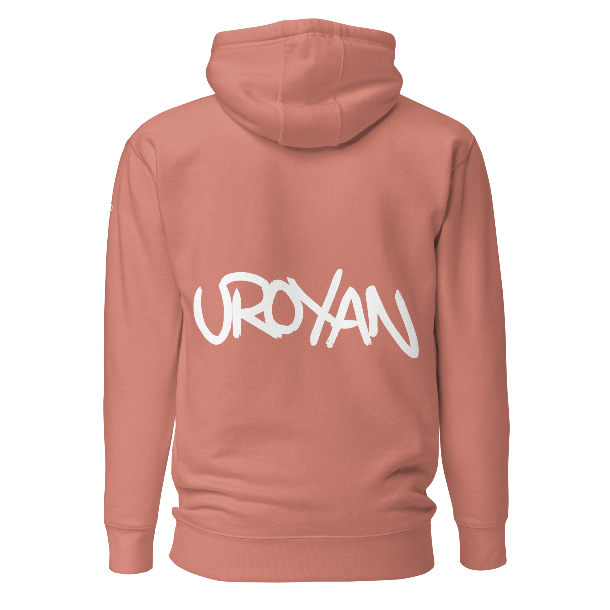 unisex-premium-hoodie-dusty-rose-back-657901b36a2d4.png