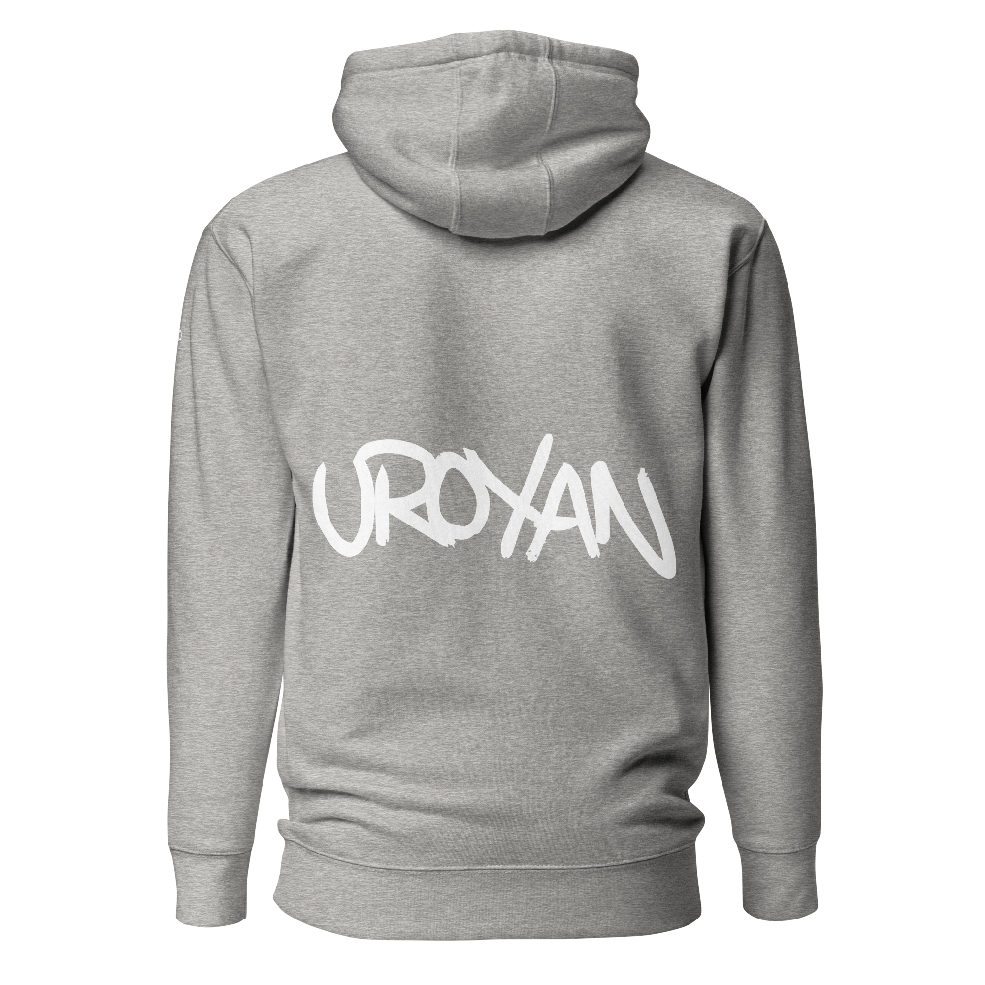 unisex-premium-hoodie-carbon-grey-back-657901b36ff2f.png