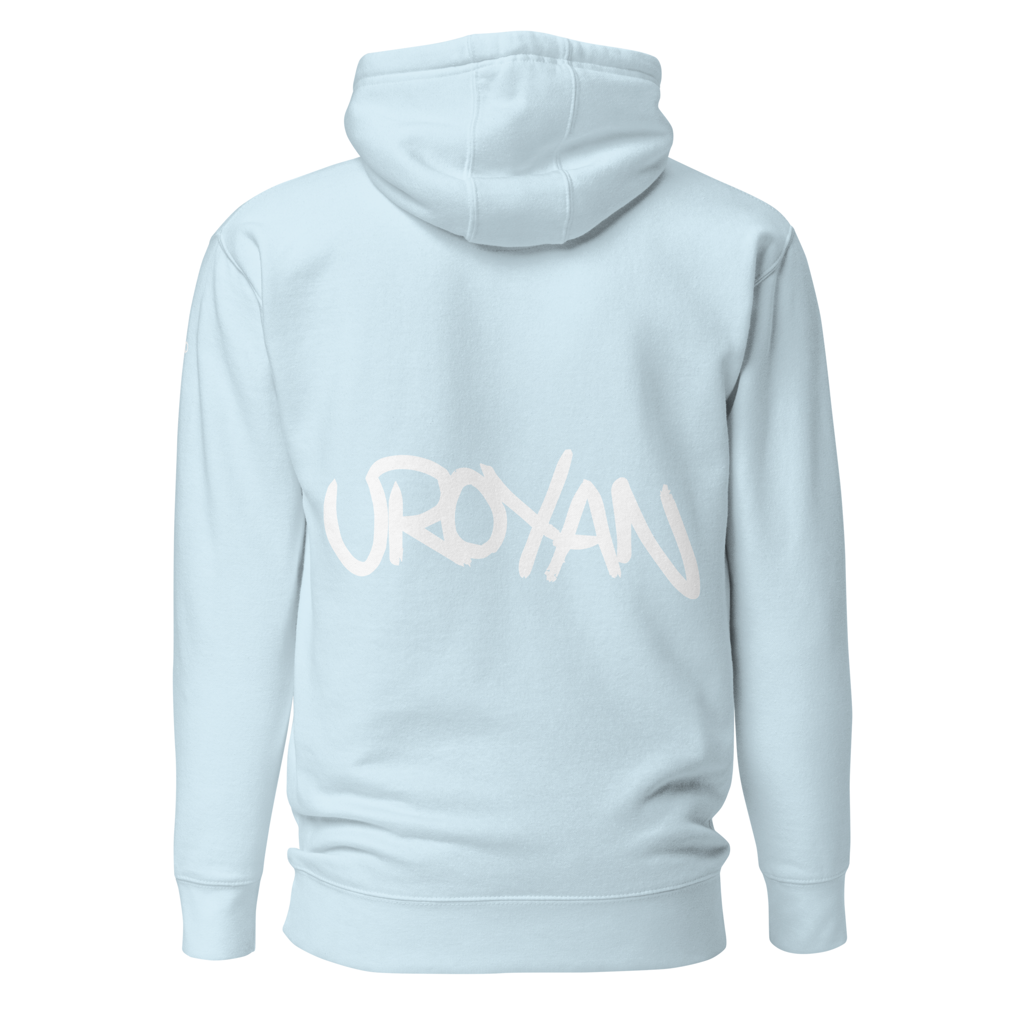 unisex-premium-hoodie-sky-blue-back-657901b375048.png