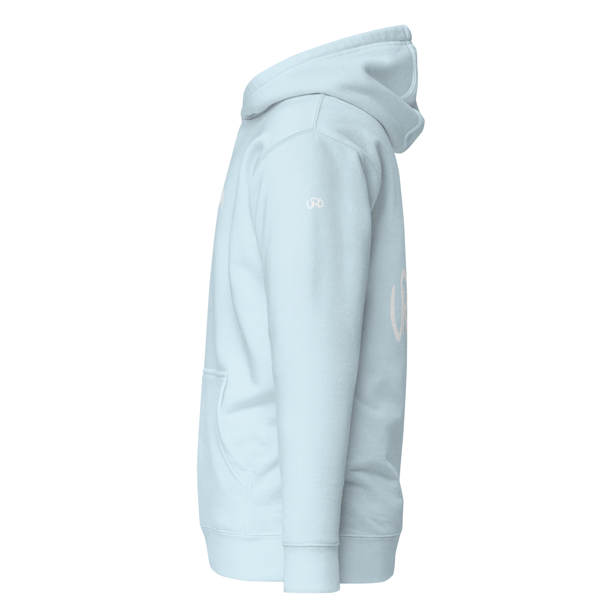 unisex-premium-hoodie-sky-blue-left-657901b376cd2.png