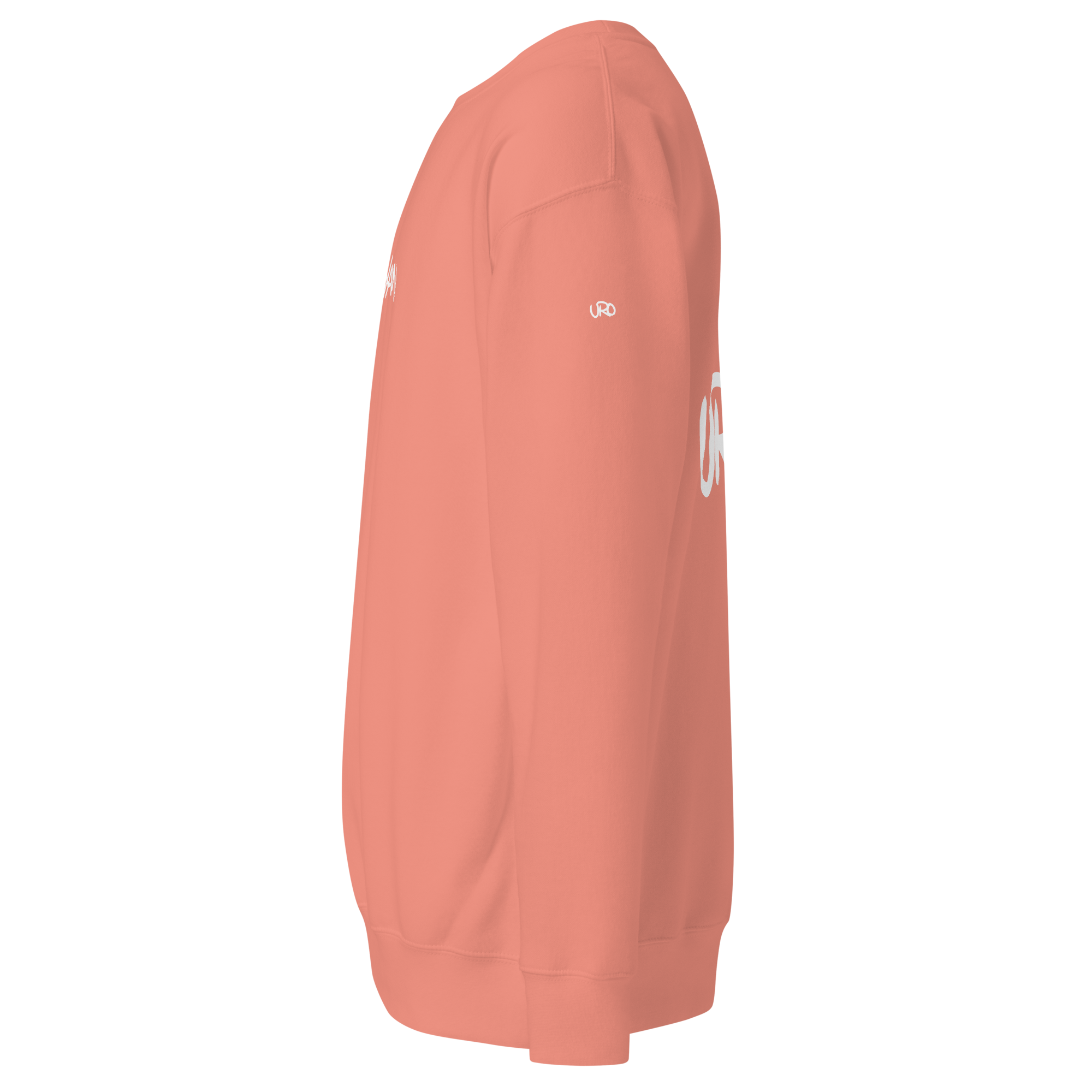 unisex-premium-sweatshirt-dusty-rose-left-6579046a90e42.png