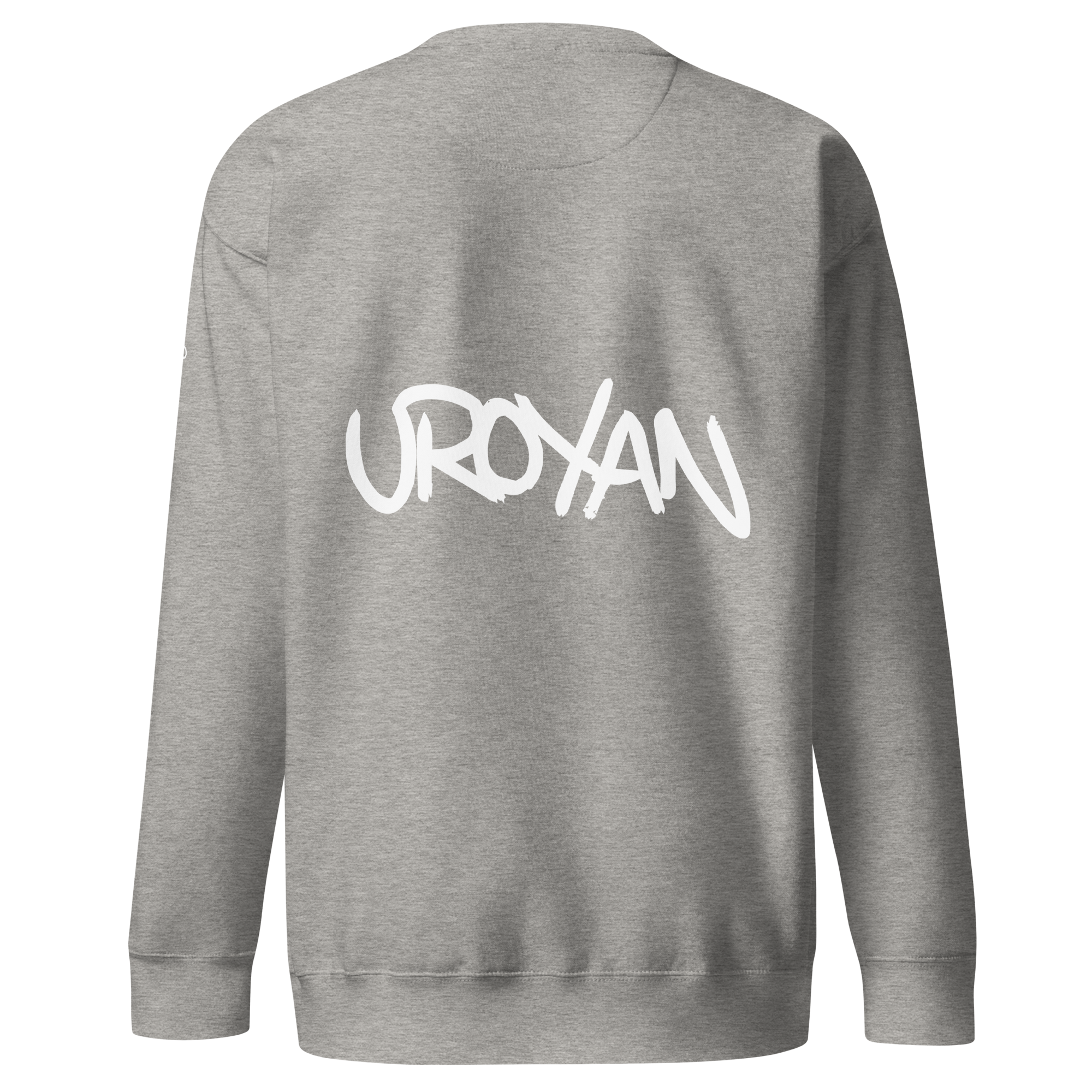 unisex-premium-sweatshirt-carbon-grey-back-6579046a91d0c.png