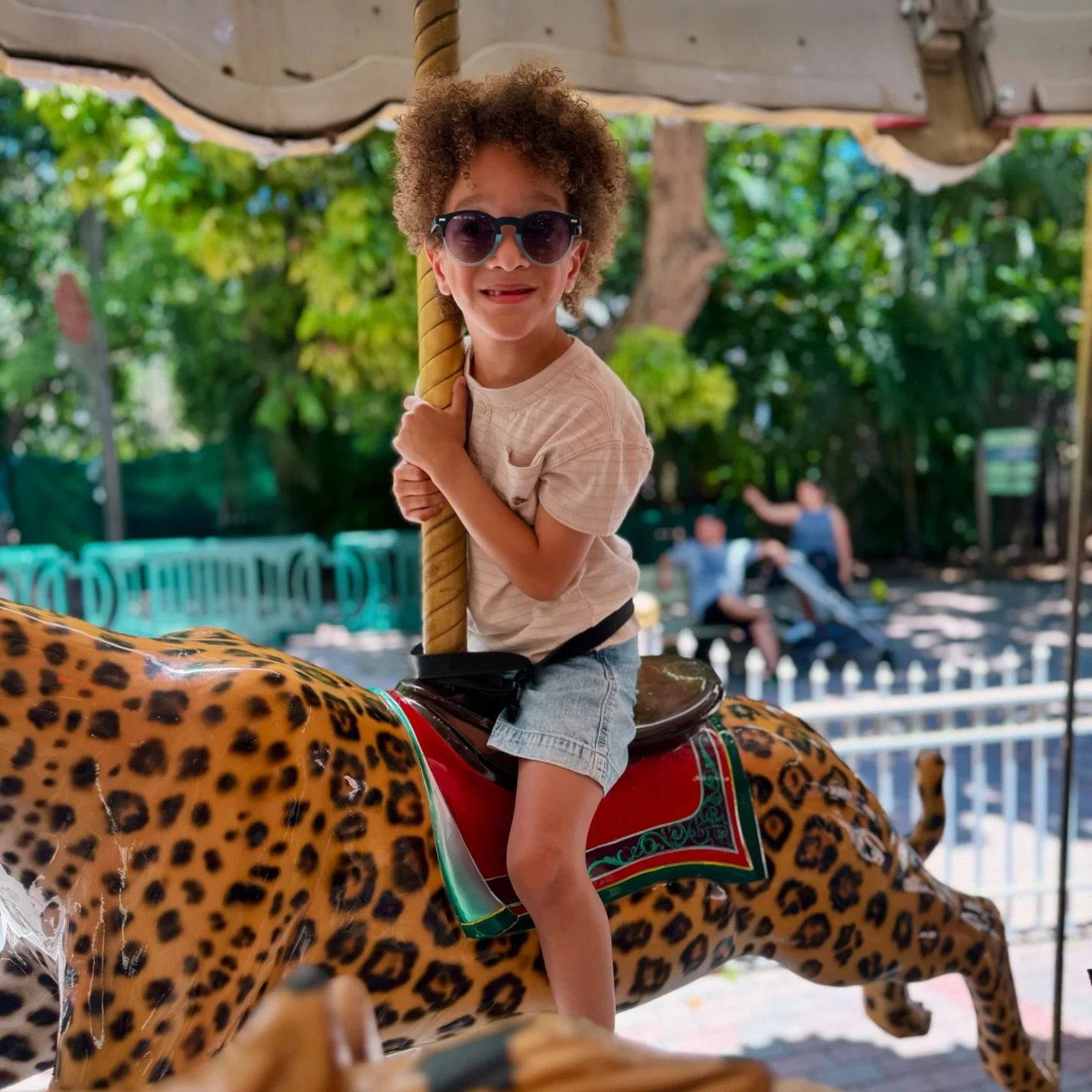 Una tarde calurosa en el zoo 🐒🦍🐻