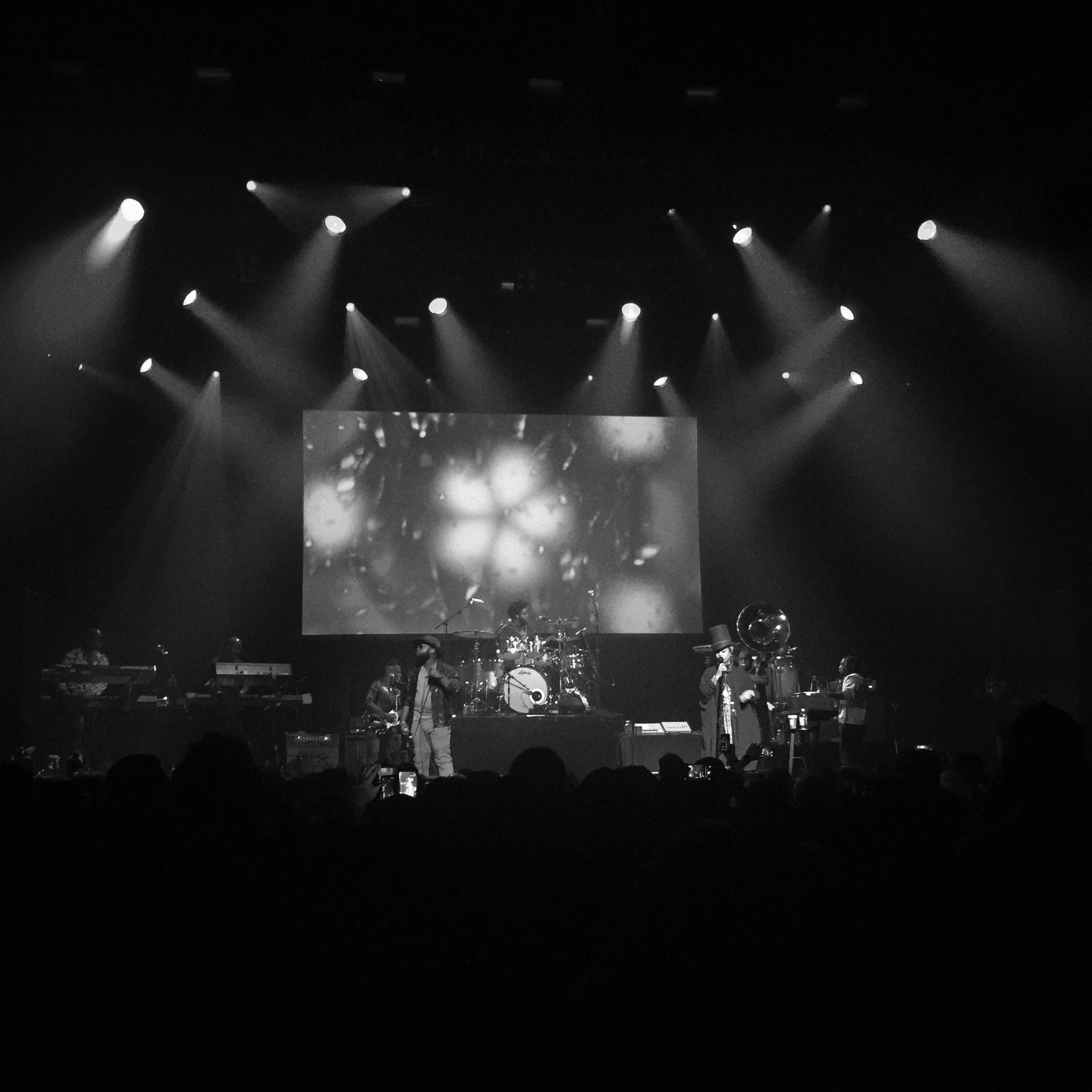 theroots.jpg