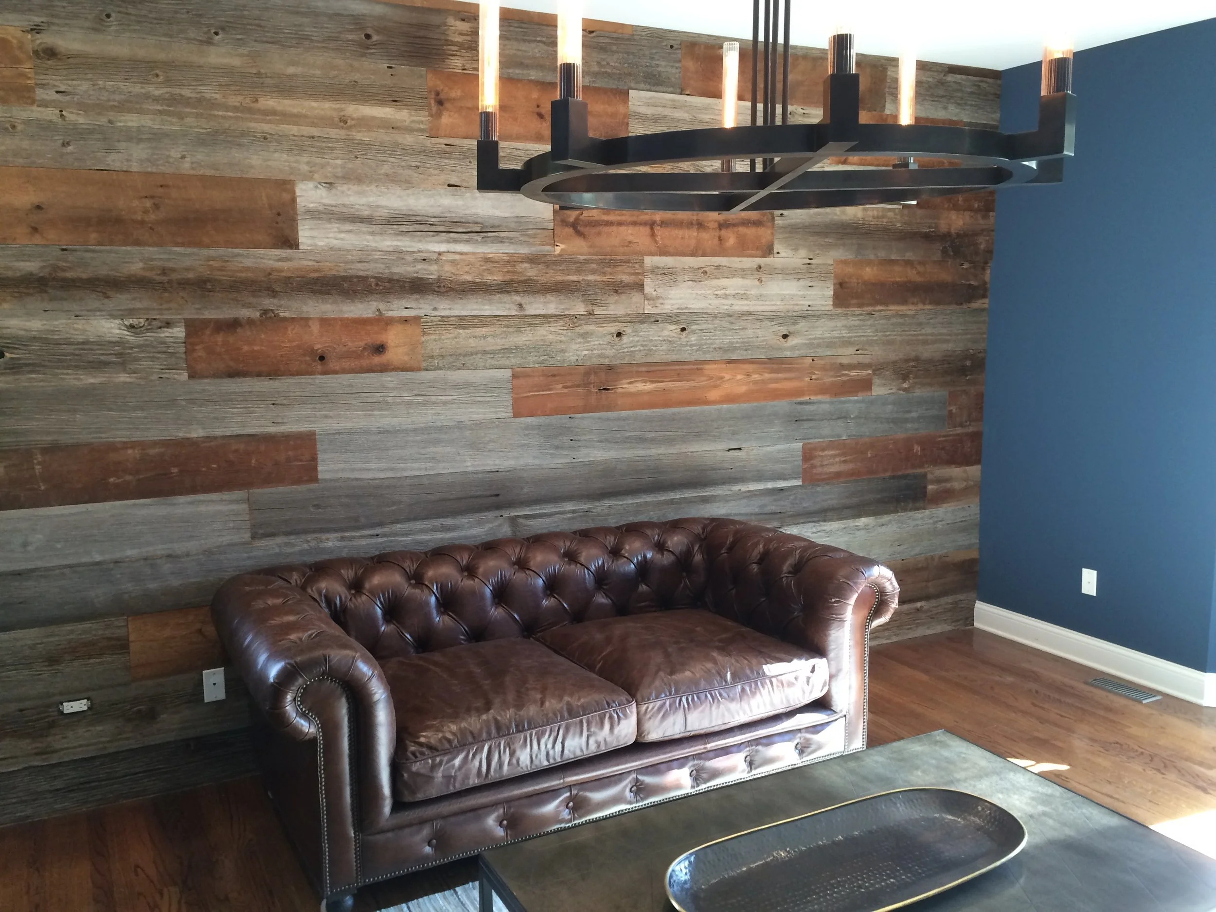 Stacy Fox Project.JPG