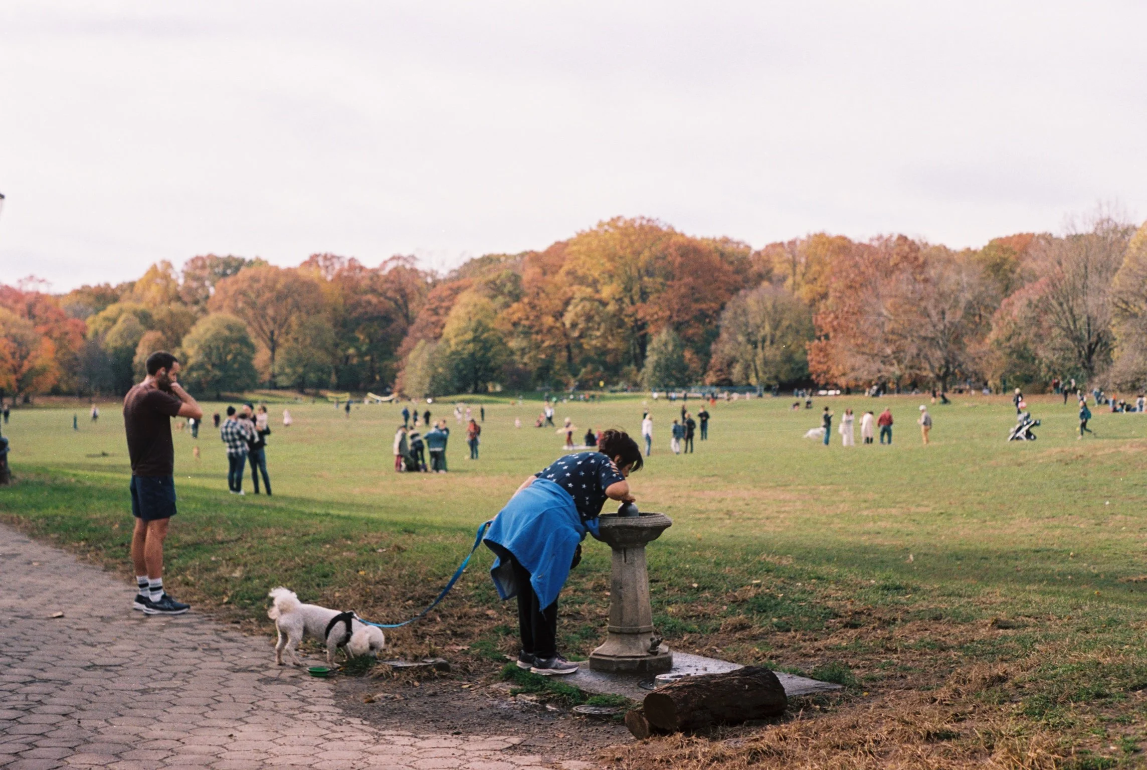 ProspectPark.jpg