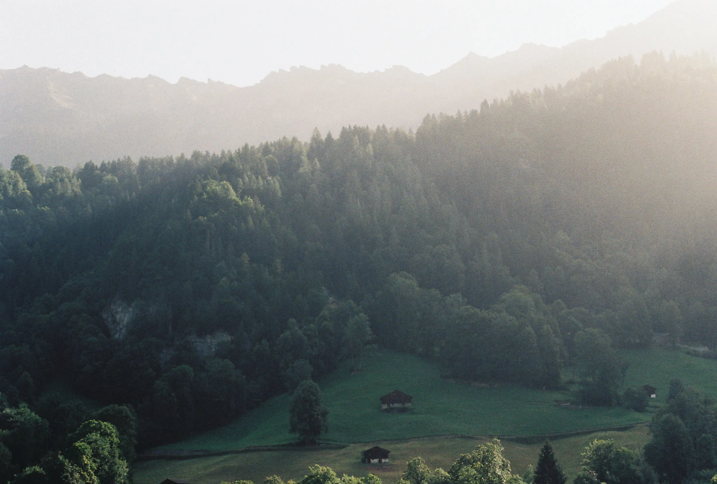 R1-01377-015A.JPG
