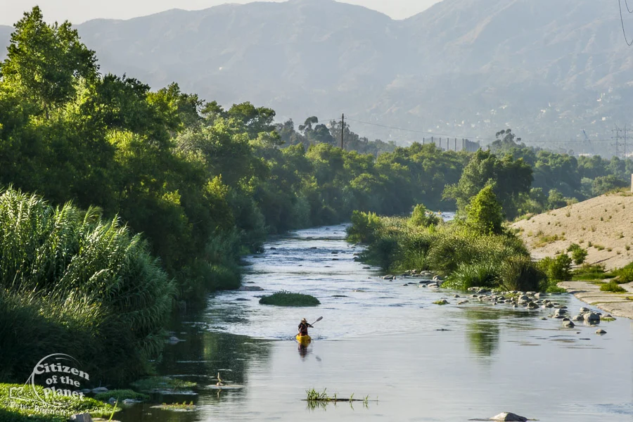 glendale_narrows_kayaker