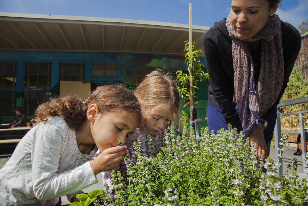  Young girls and their mother learn about the garden at their elementary school. Wonderland Elementary School, Laurel Canyon, Los Angeles. 