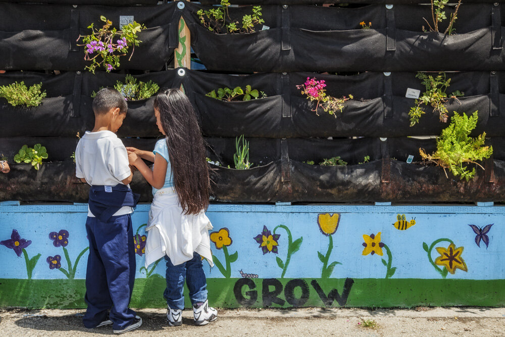  School Children learn about and tend the vertical garden at the Downtown Value School, a charter school in downtown Los Angeles. 