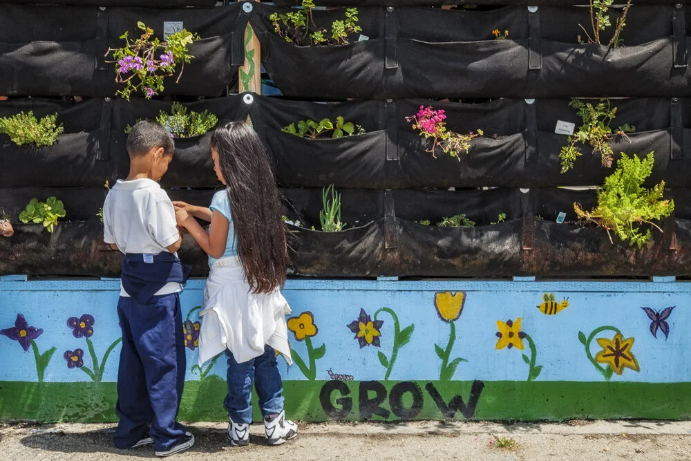School Children learn about and tend the vertical garden at the Downtown Value School, a charter school in downtown Los Angeles.