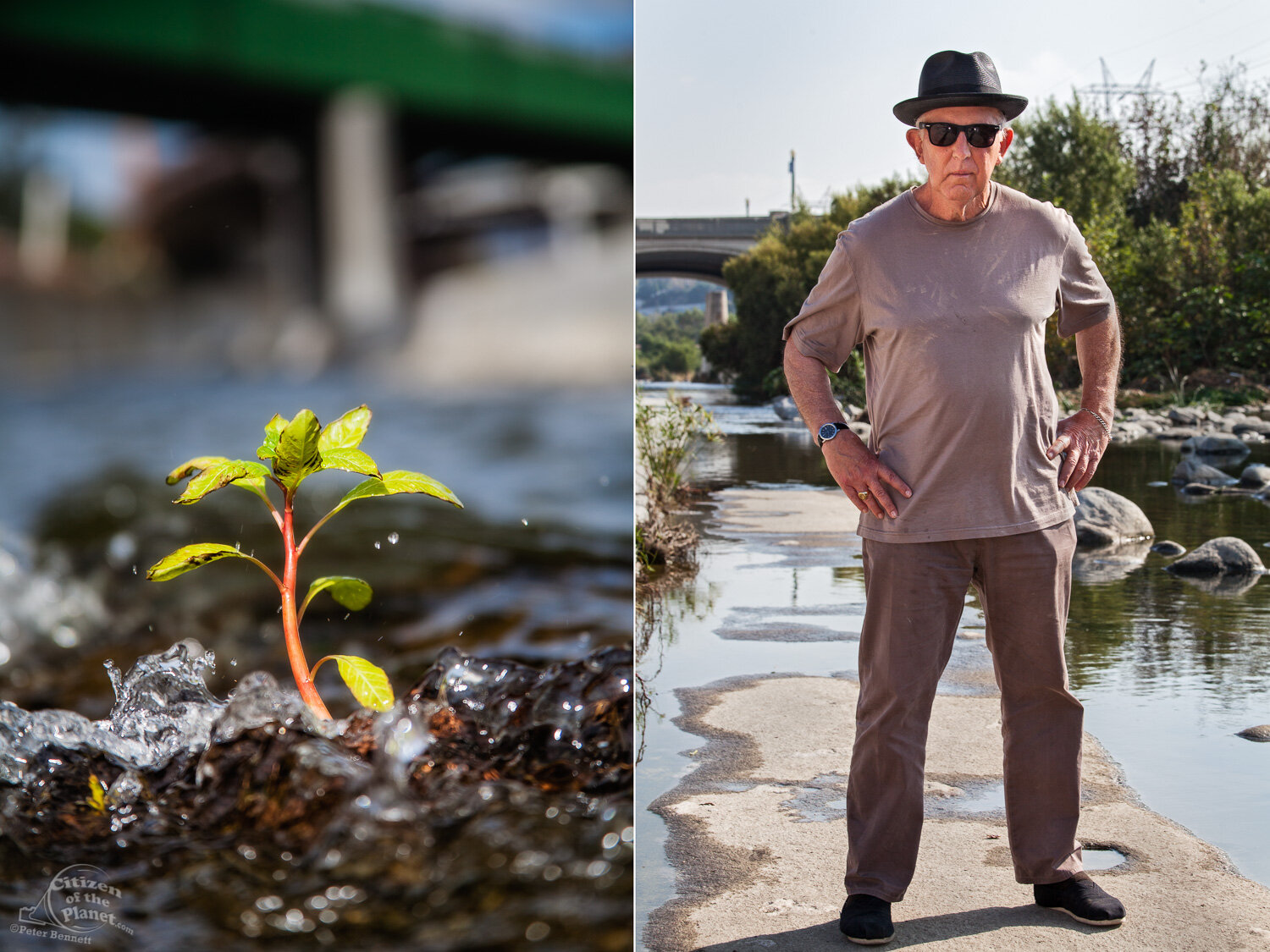  Life Finds a Way, a small plant grows out of the river at the Confluence. Lewis MacAdams, co-founder of FoLAR. 