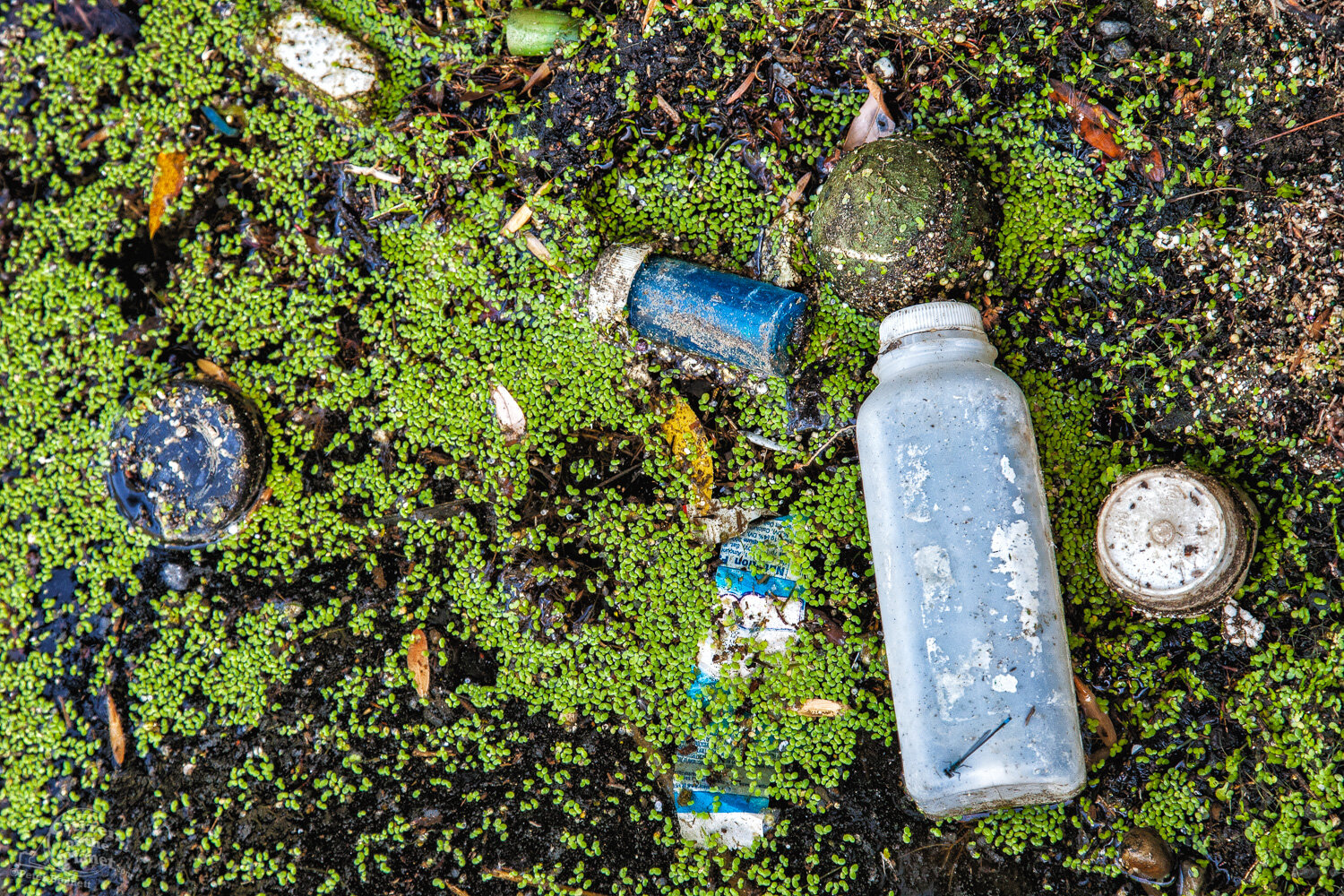  Assorted trash from storm runoff accumulates in little pockets along the Sepulveda Basin Recreation Area. 